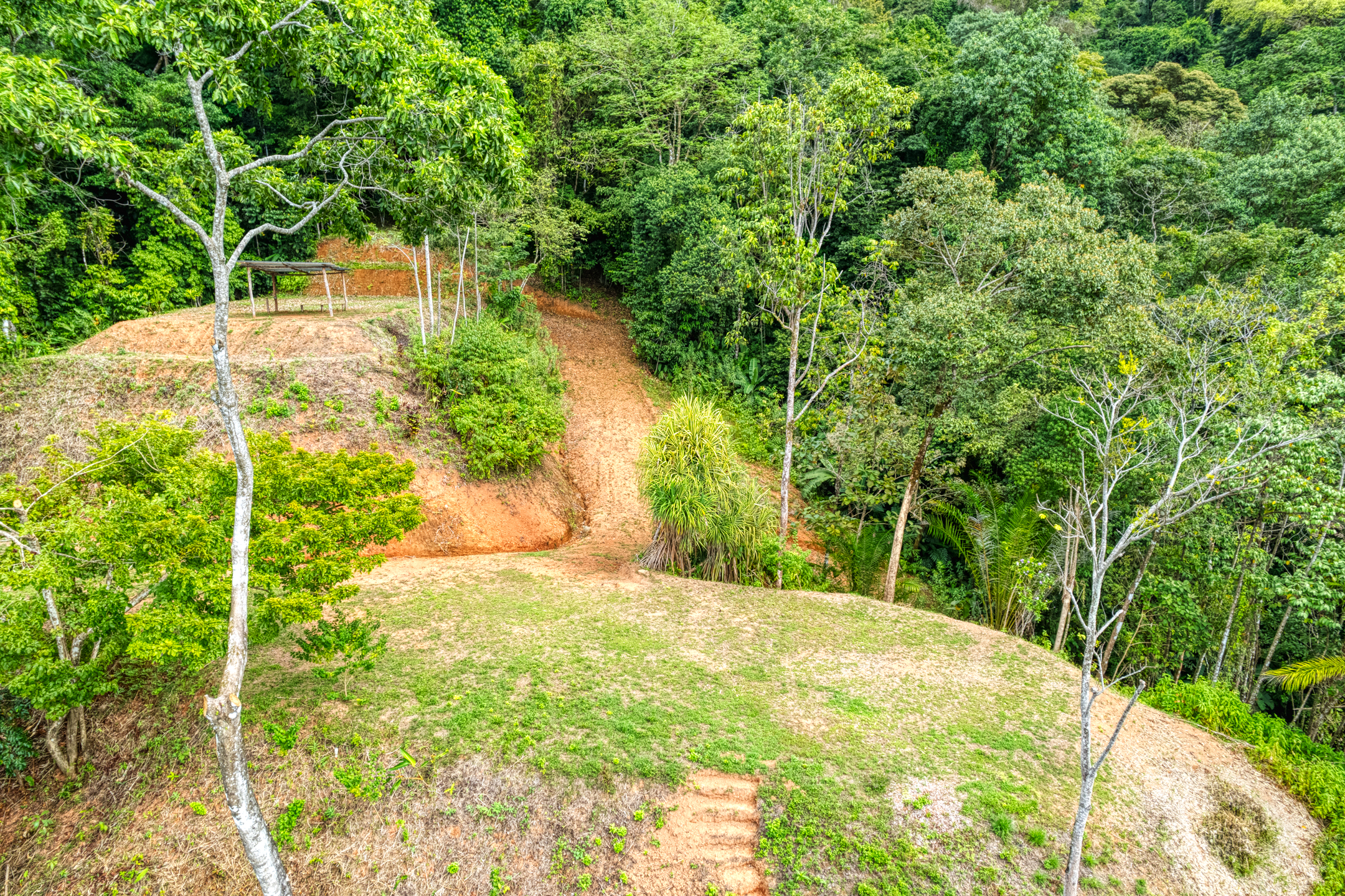 0 bed Land For Sale in Matapalo, Puntarenas - thumb 13