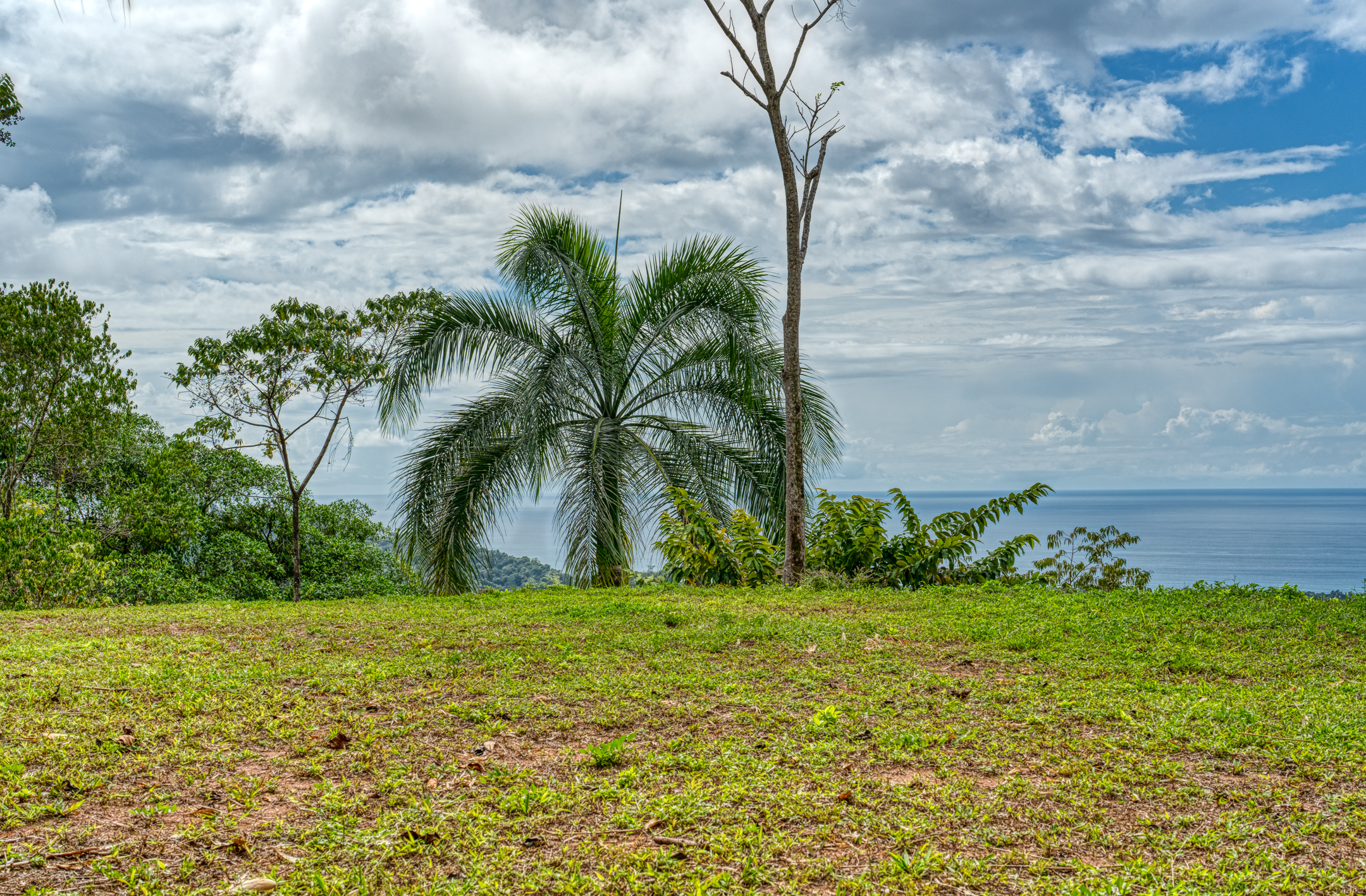 0 bed Land For Sale in Matapalo, Puntarenas - thumb 10