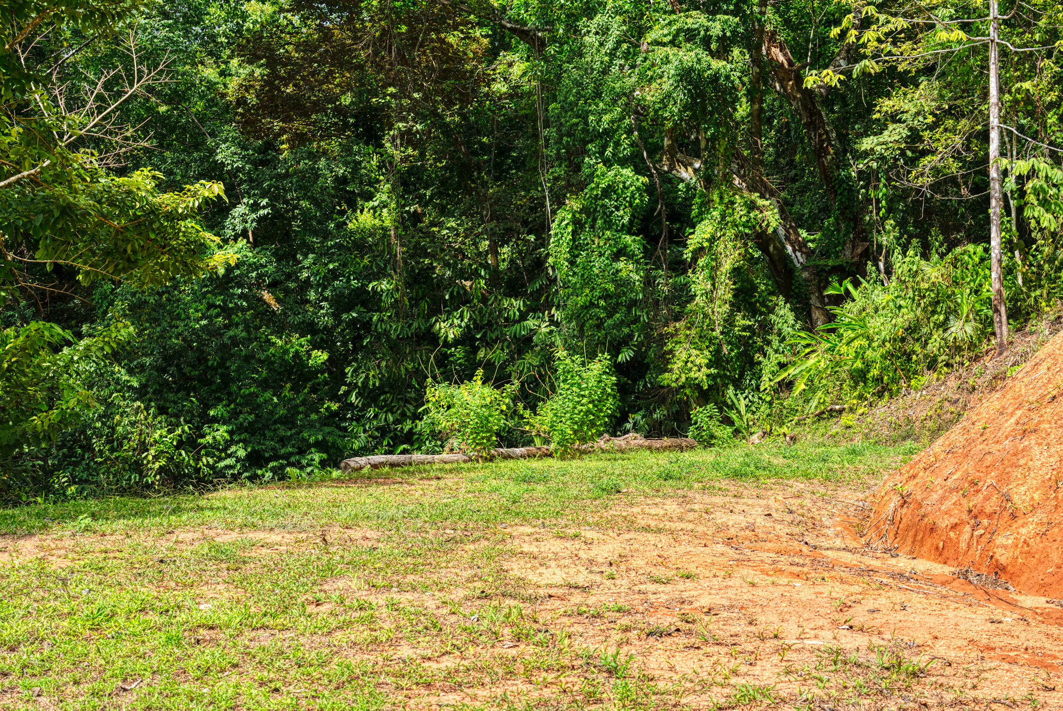 0 bed Land For Sale in Matapalo, Puntarenas - thumb 16
