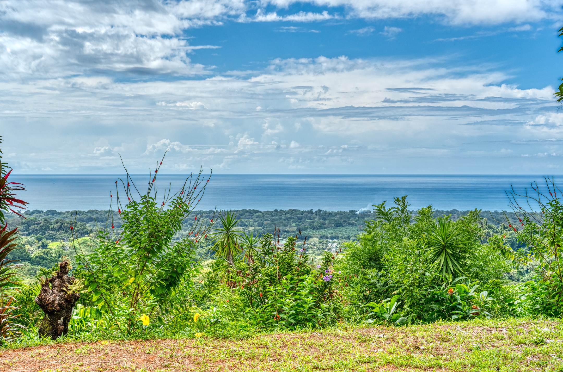 0 bed Land For Sale in Matapalo, Puntarenas - thumb 1