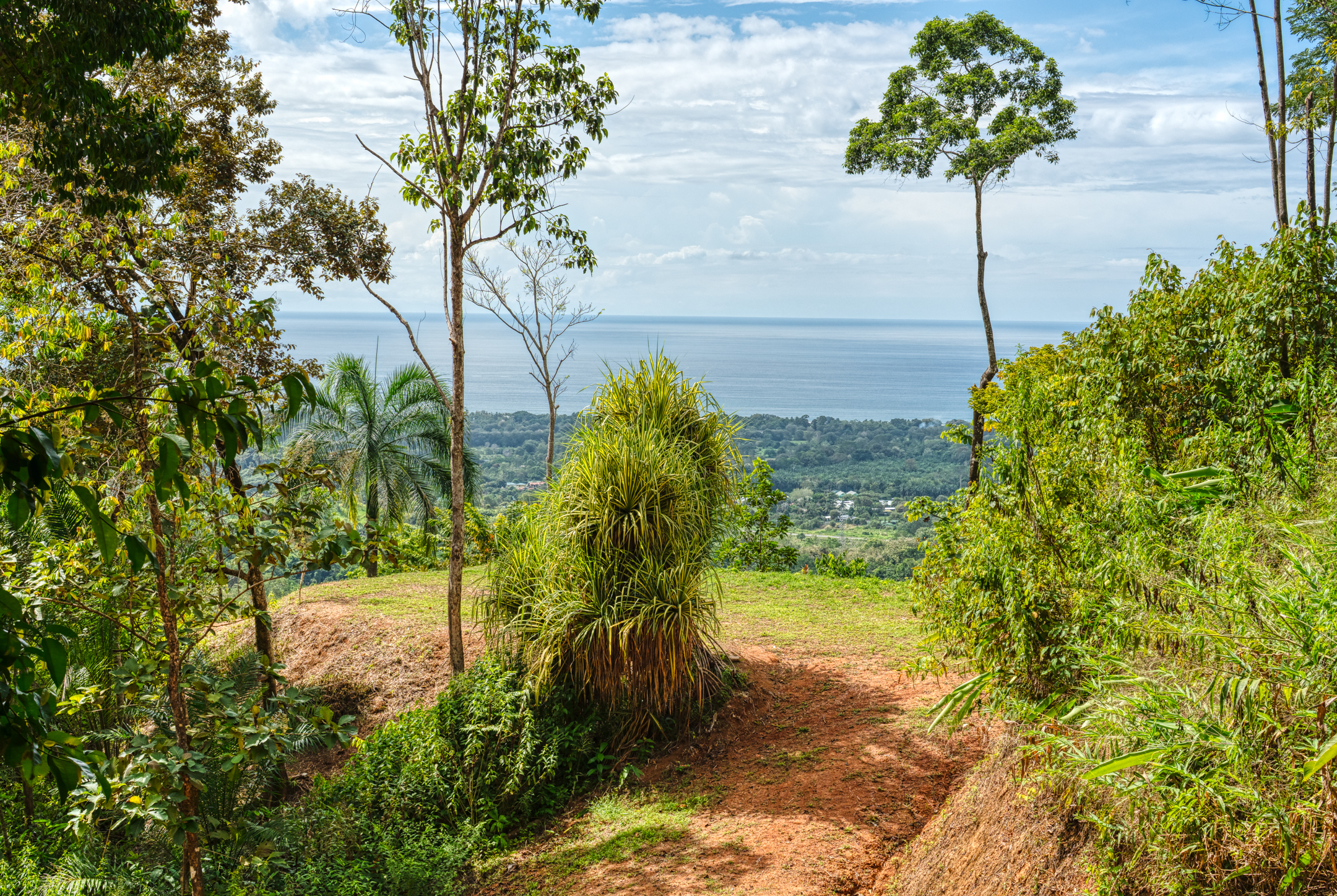 0 bed Land For Sale in Matapalo, Puntarenas - thumb 14