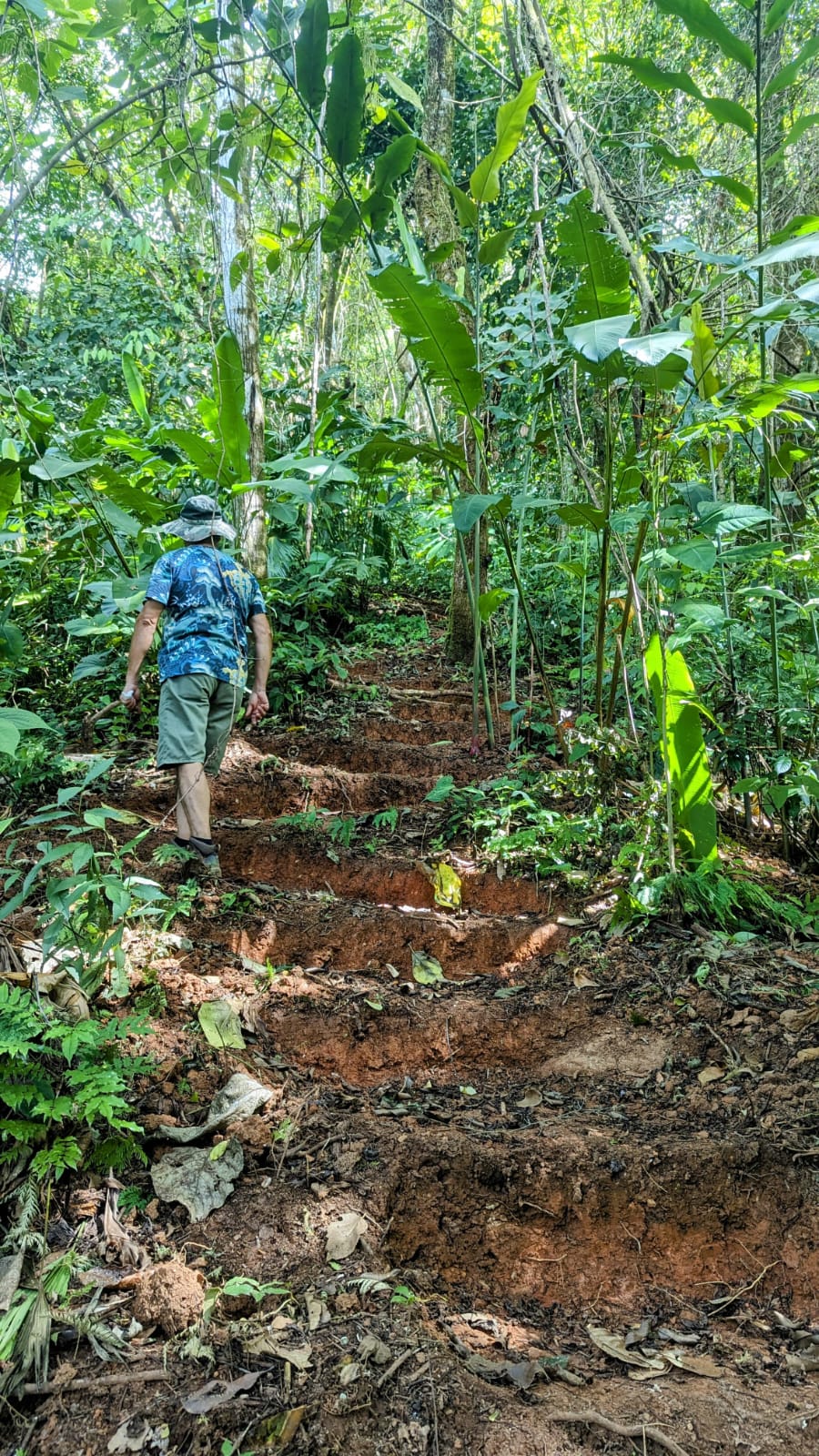 0 bed Land For Sale in Matapalo, Puntarenas - thumb 27