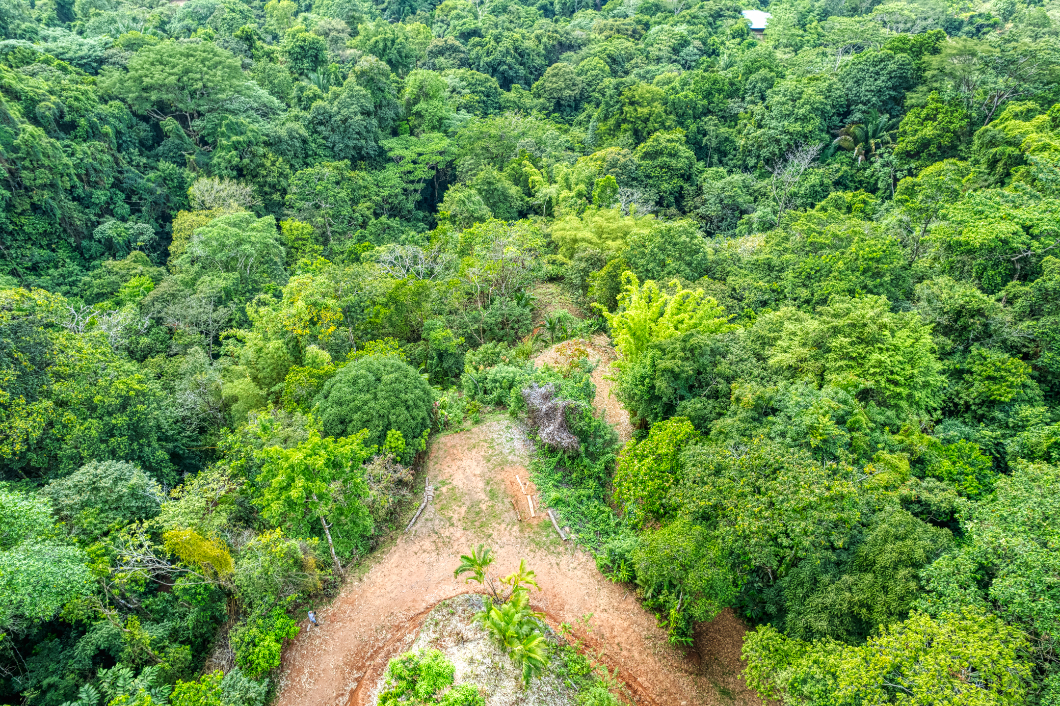 0 bed Land For Sale in Matapalo, Puntarenas - thumb 22