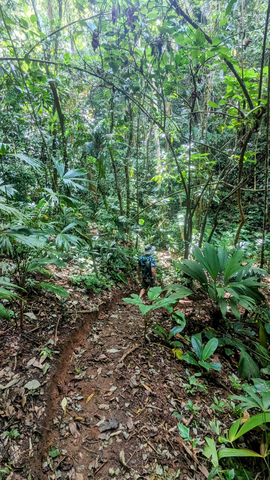 0 bed Land For Sale in Matapalo, Puntarenas - thumb 26