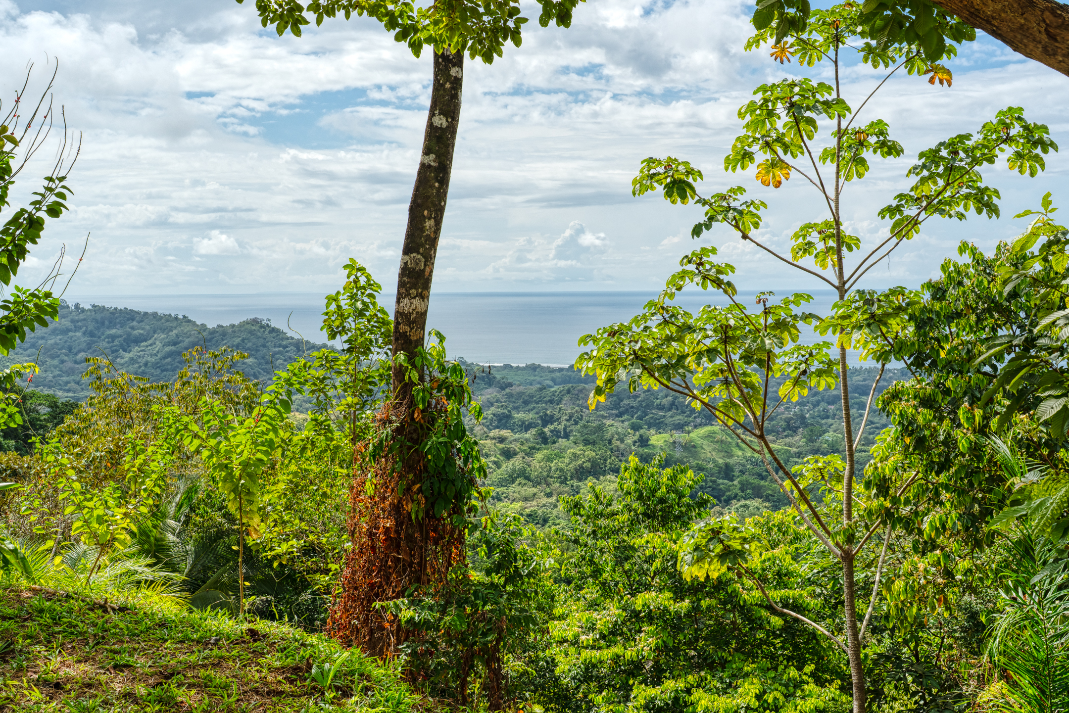 0 bed Land For Sale in Matapalo, Puntarenas - thumb 12