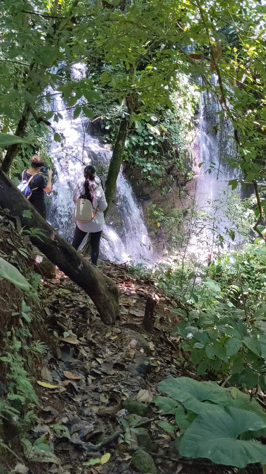 0 bed Land For Sale in Matapalo, Puntarenas - thumb 29