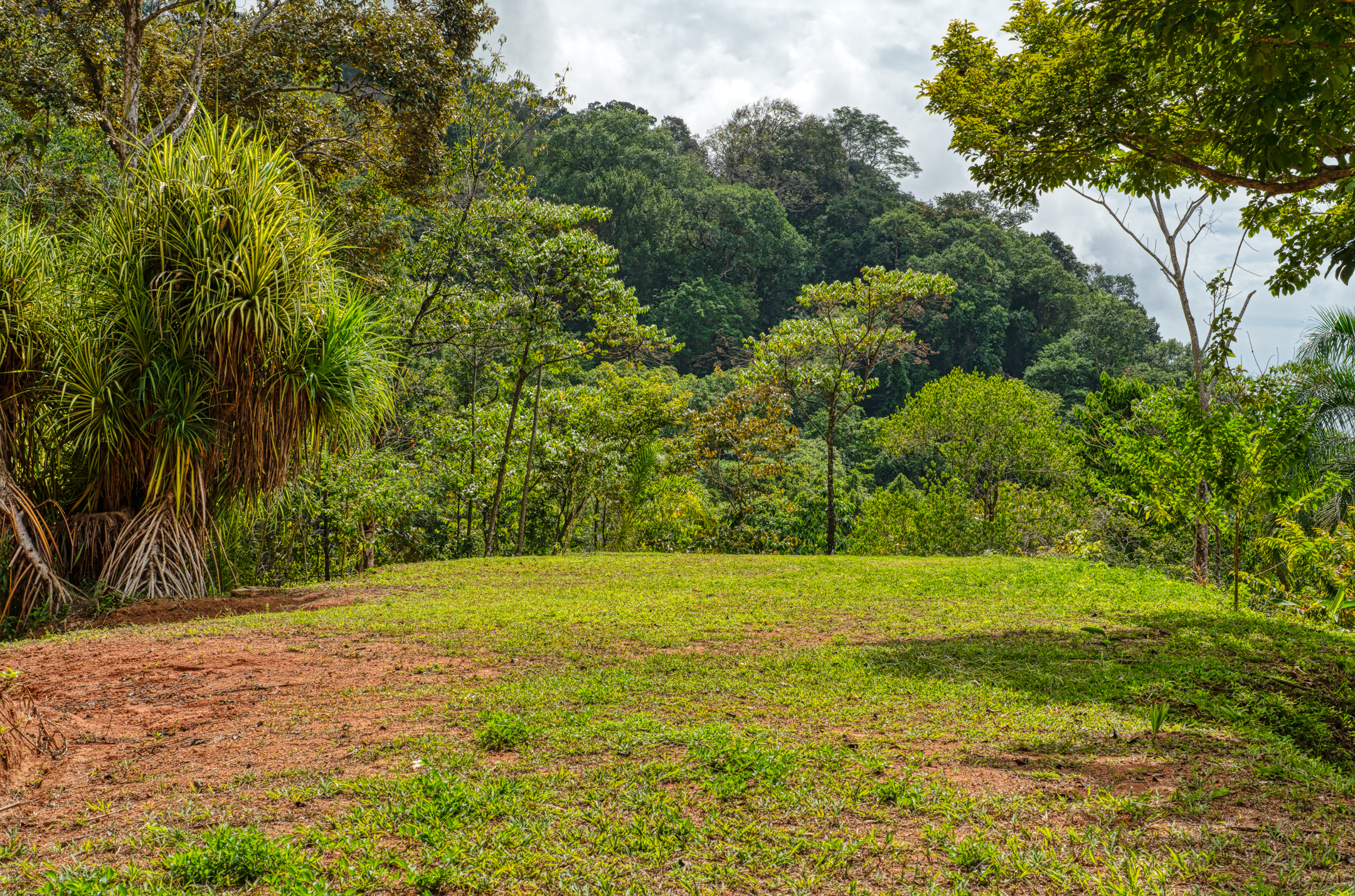 0 bed Land For Sale in Matapalo, Puntarenas - thumb 21