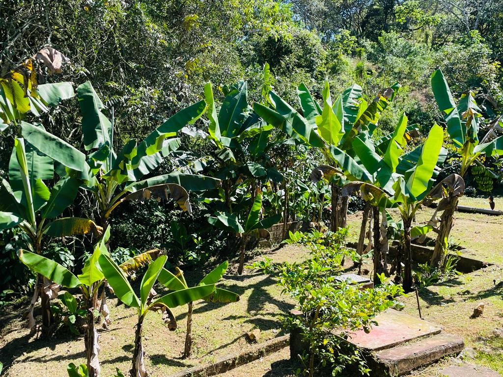 3 bed Single Family Homes For Sale in Atenas, Alajuela - thumb 22