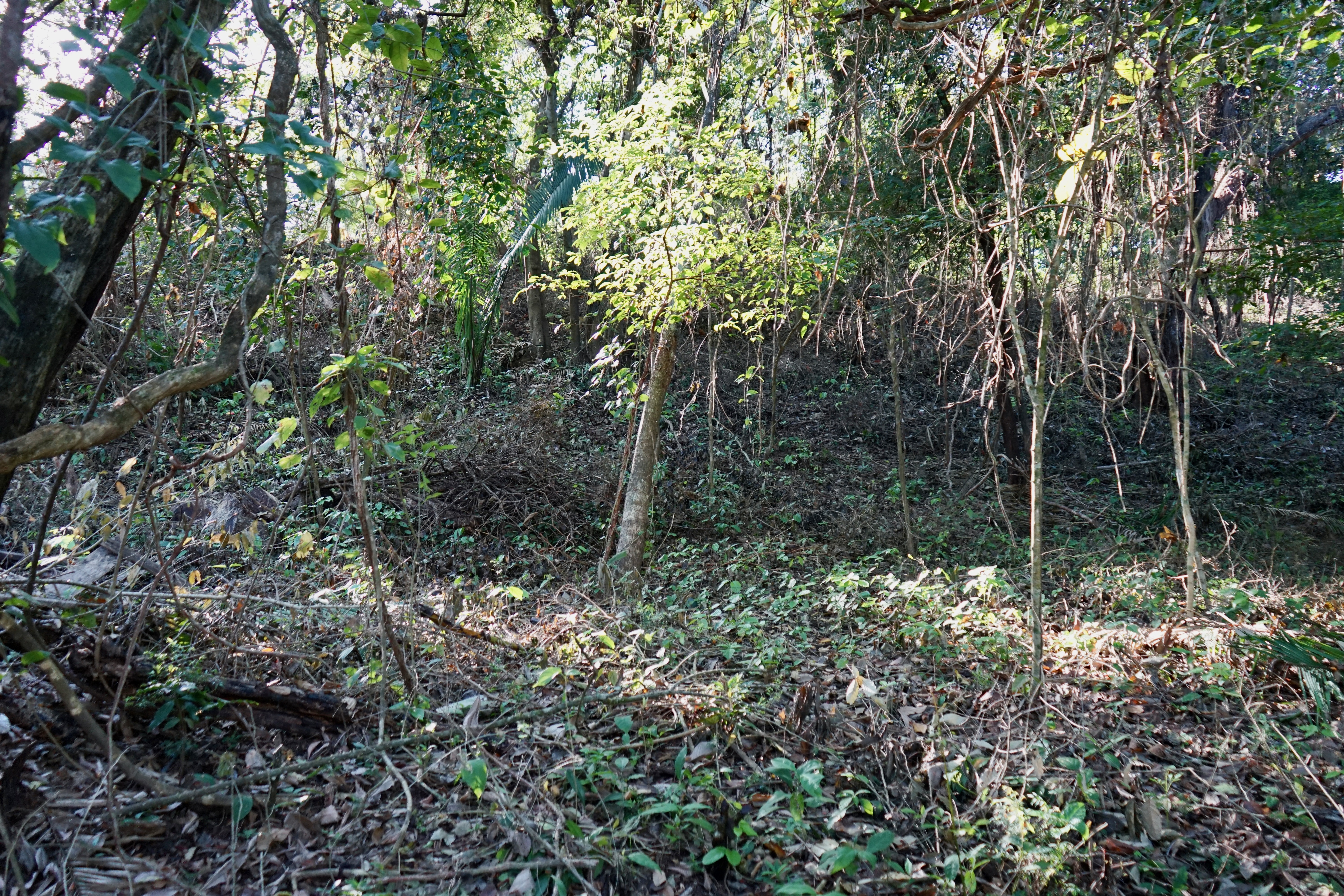 0 bed Land For Sale in Playa Pelada, Guanacaste - thumb 5