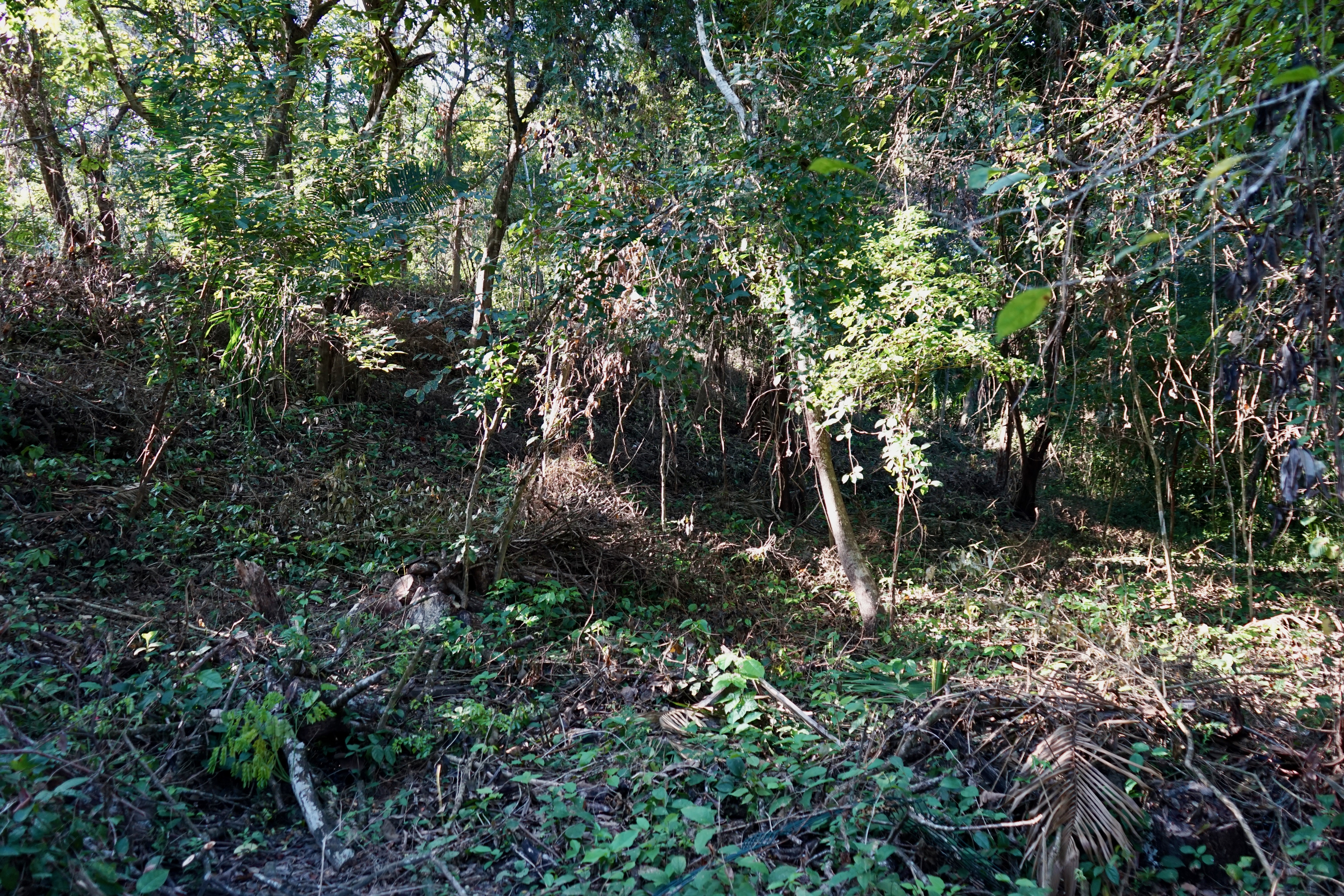 0 bed Land For Sale in Playa Pelada, Guanacaste - thumb 17