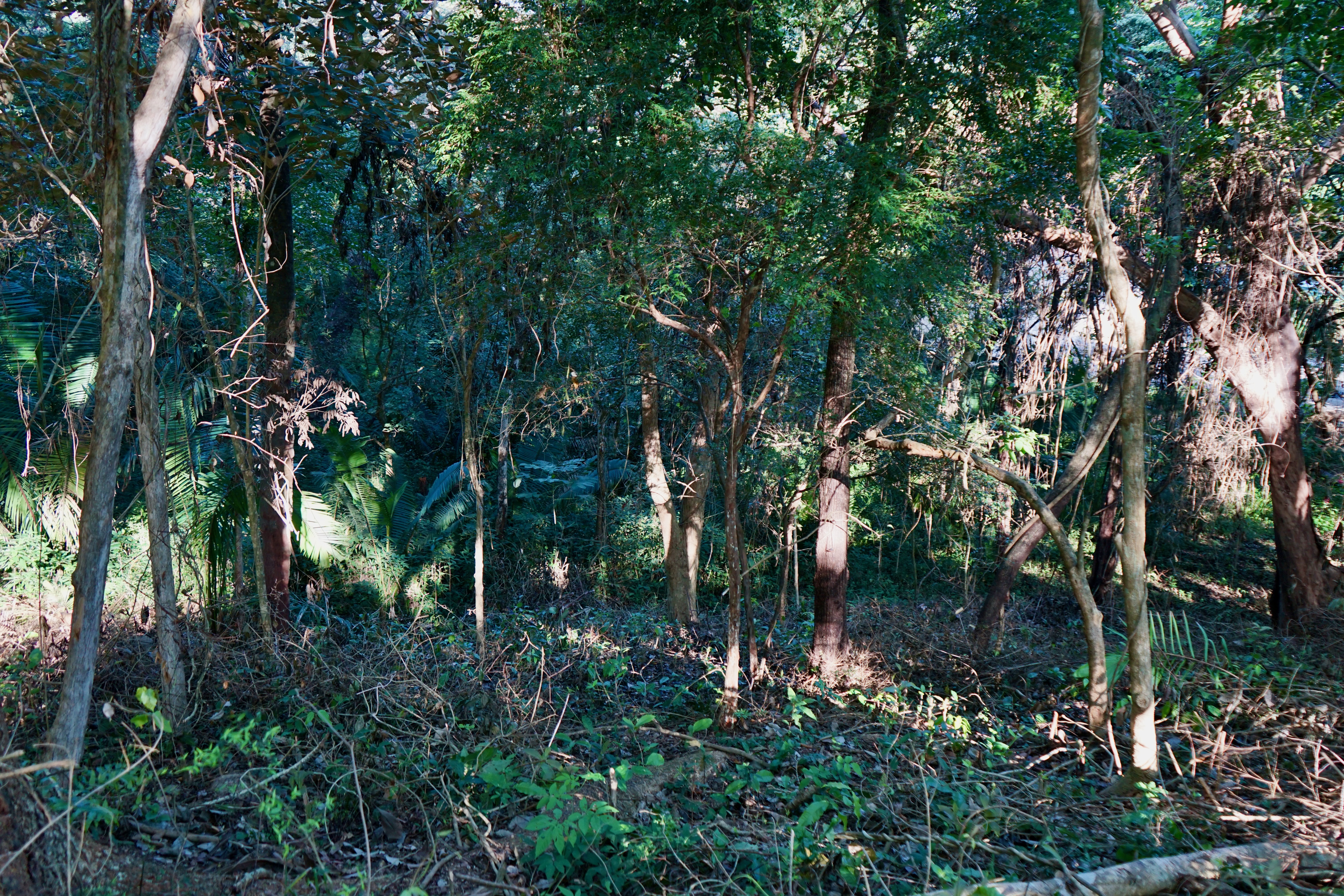 0 bed Land For Sale in Playa Pelada, Guanacaste - thumb 11