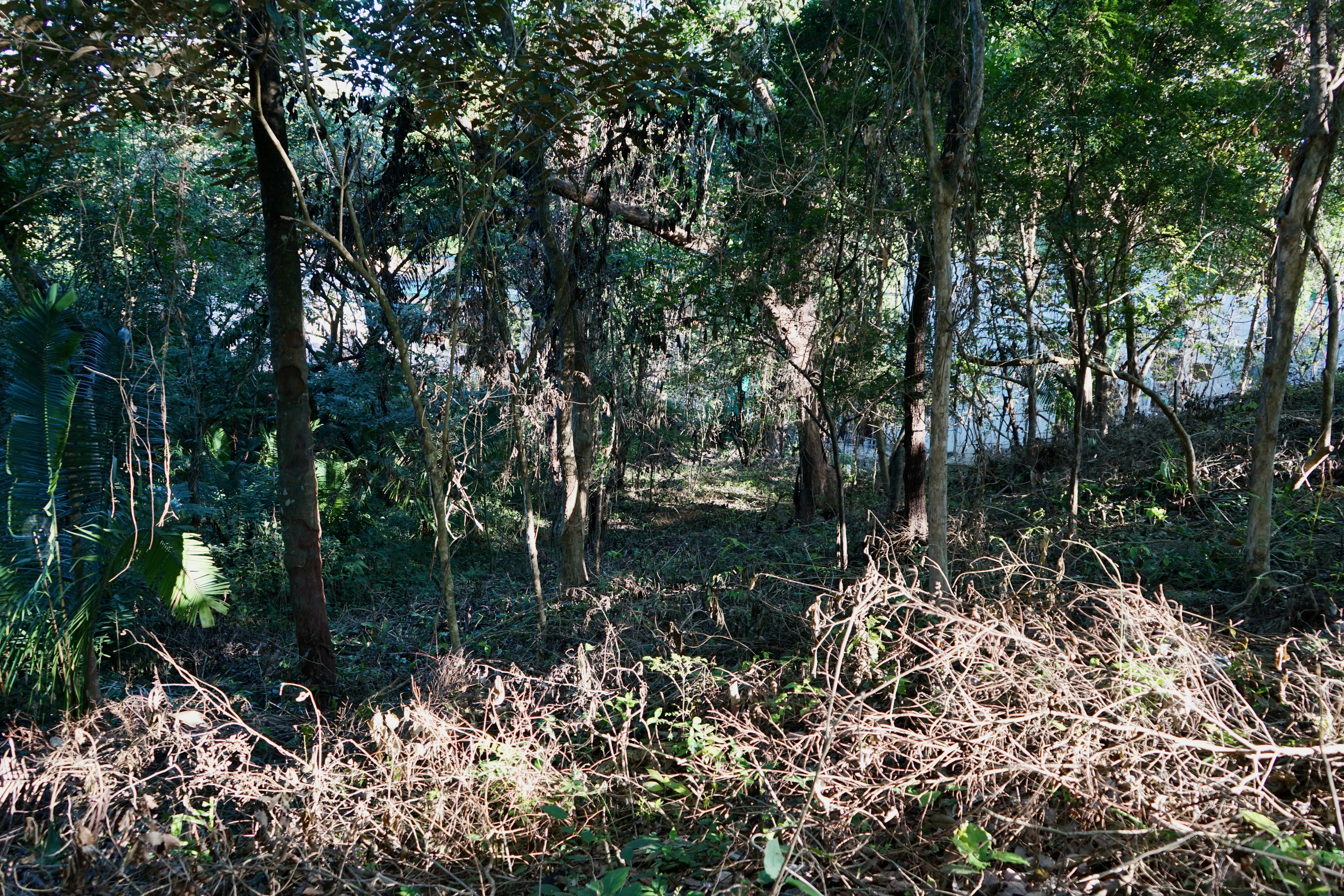 0 bed Land For Sale in Playa Pelada, Guanacaste - thumb 7