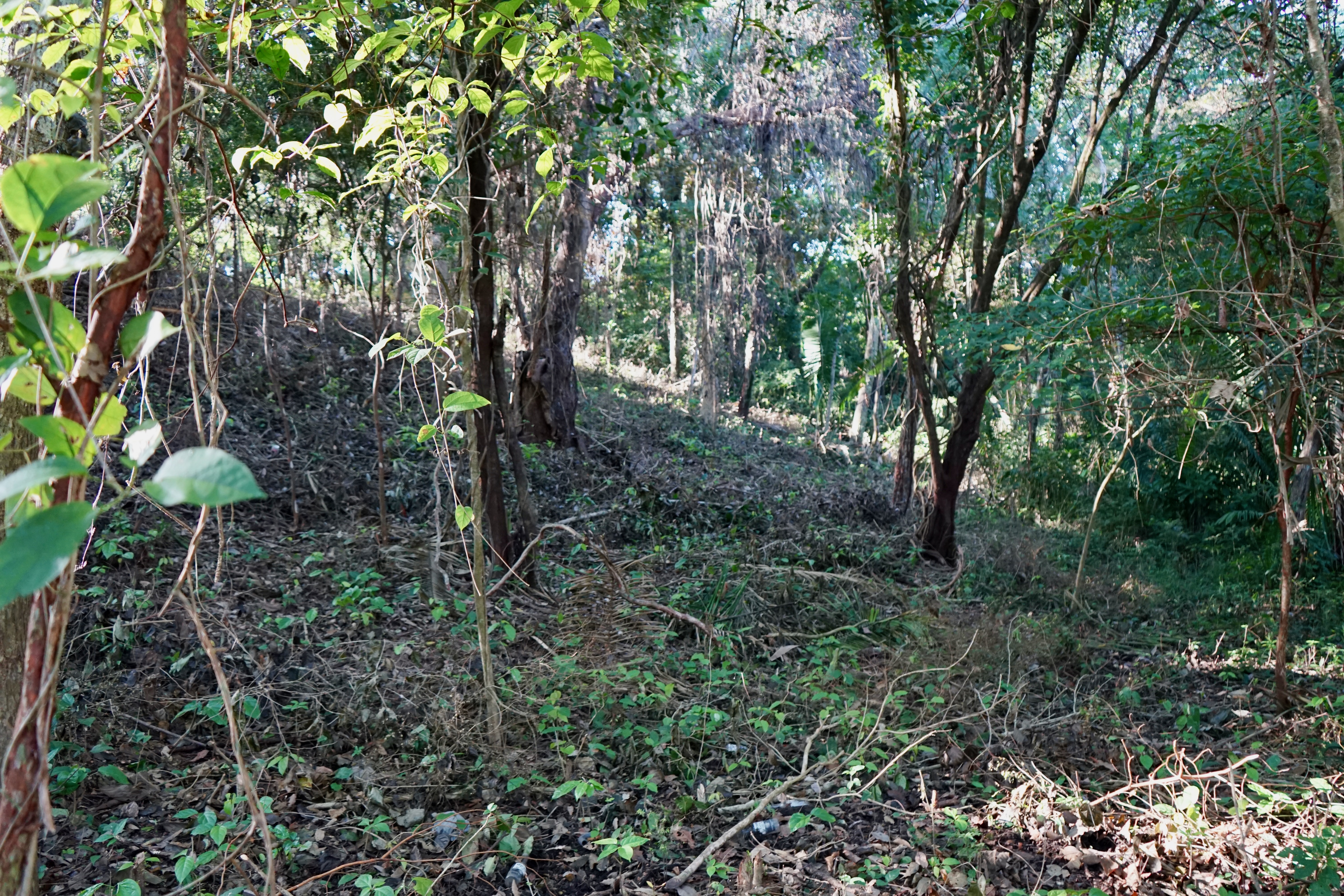 0 bed Land For Sale in Playa Pelada, Guanacaste - thumb 3