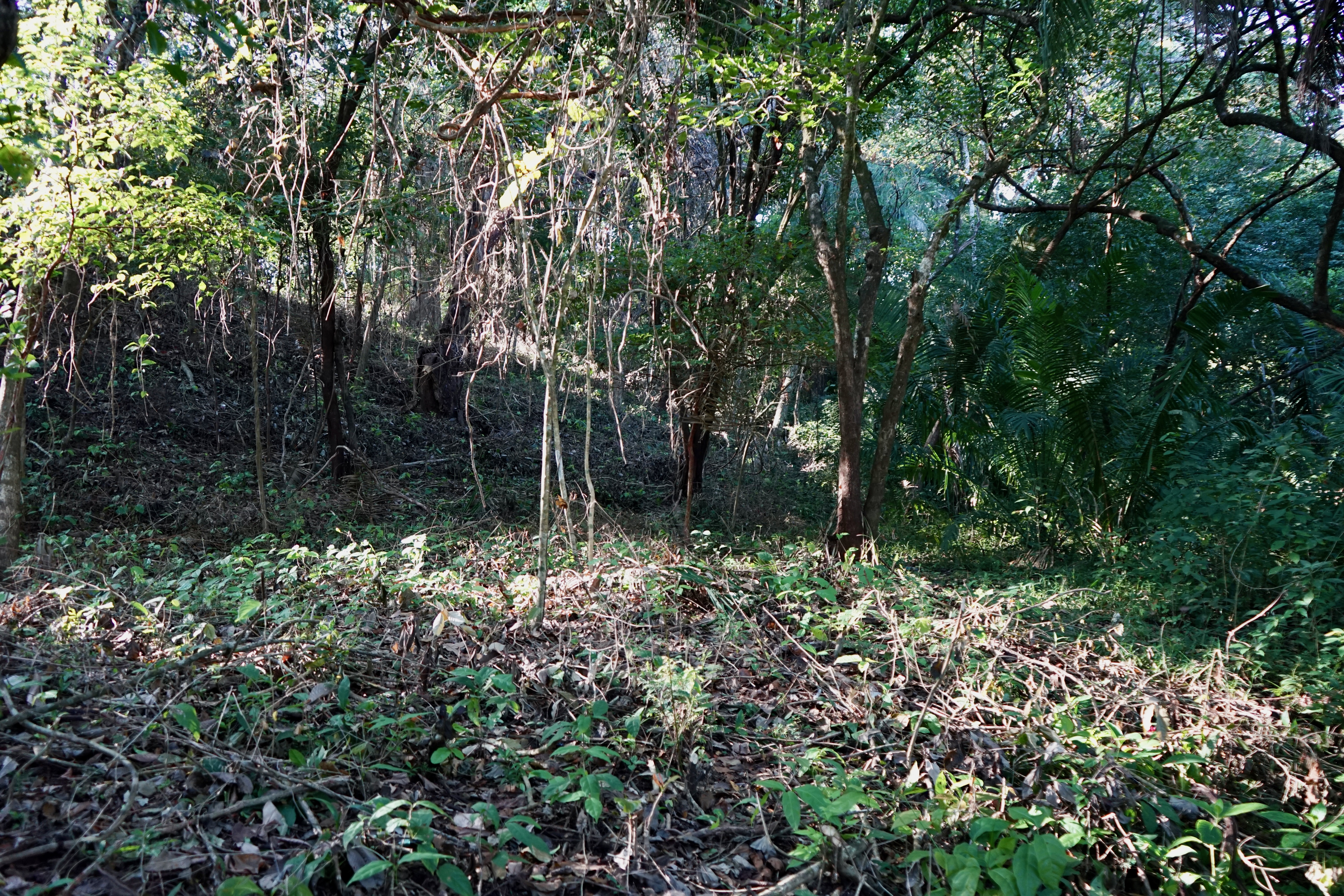 0 bed Land For Sale in Playa Pelada, Guanacaste - thumb 1