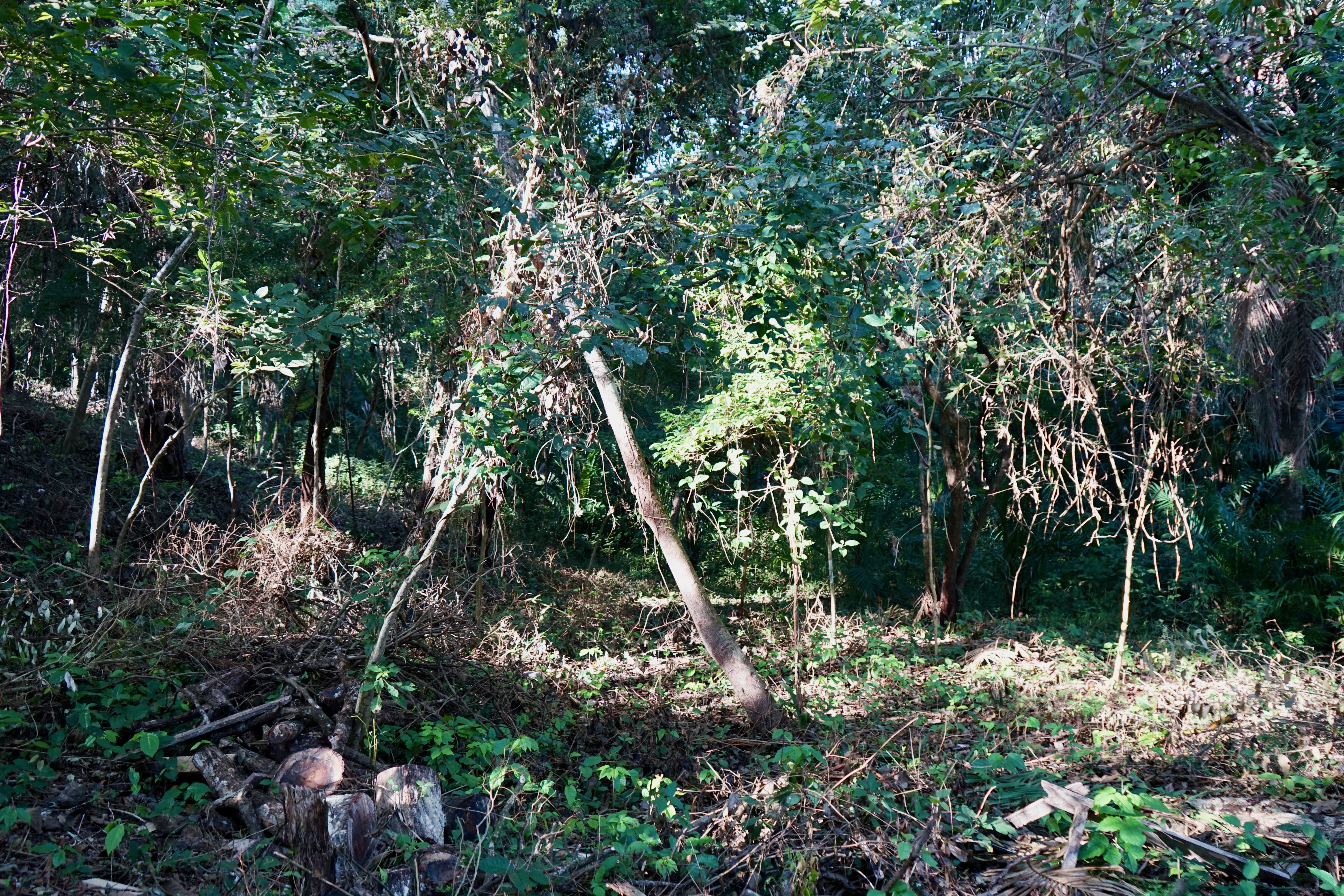 0 bed Land For Sale in Playa Pelada, Guanacaste - thumb 13