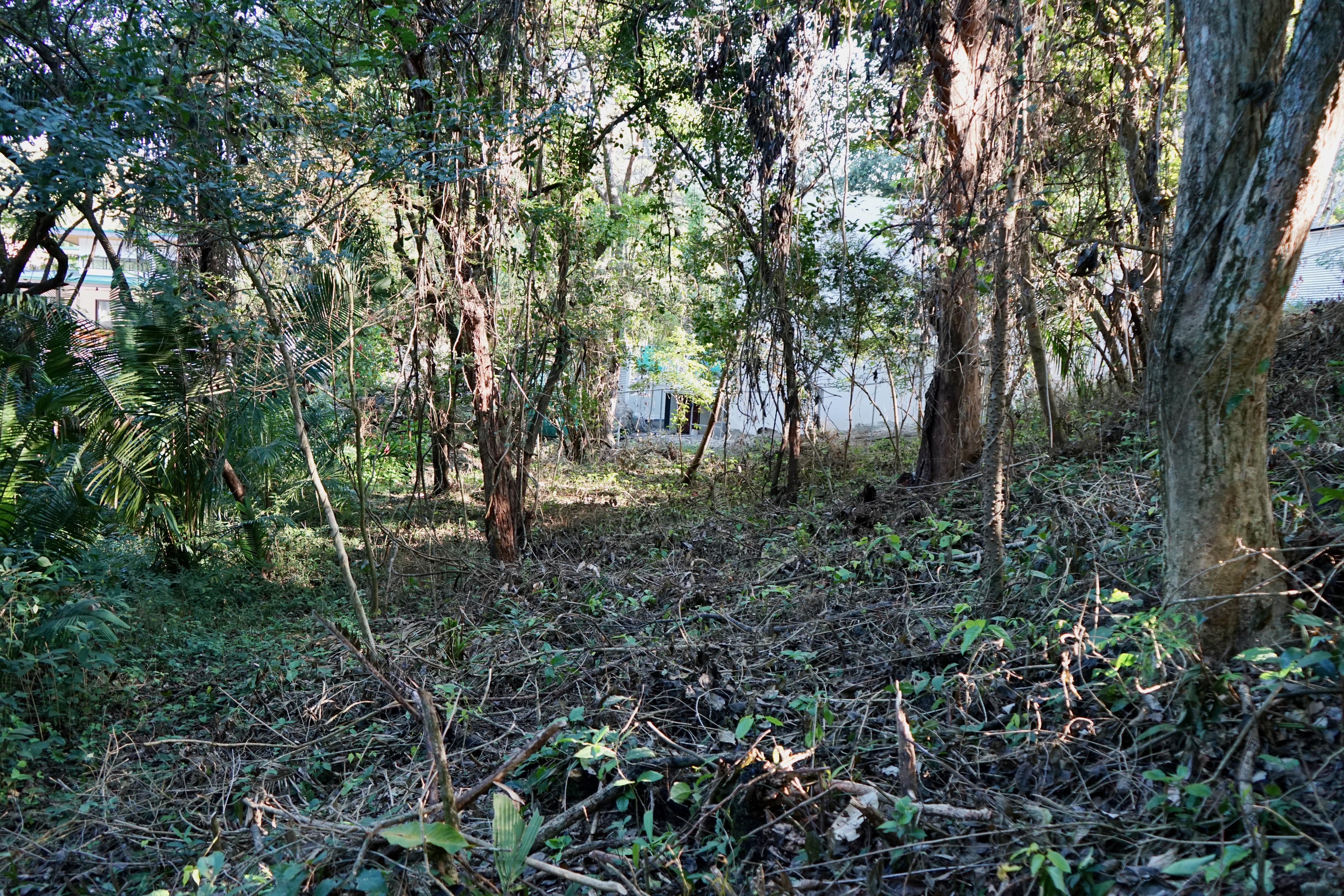 0 bed Land For Sale in Playa Pelada, Guanacaste - thumb 2