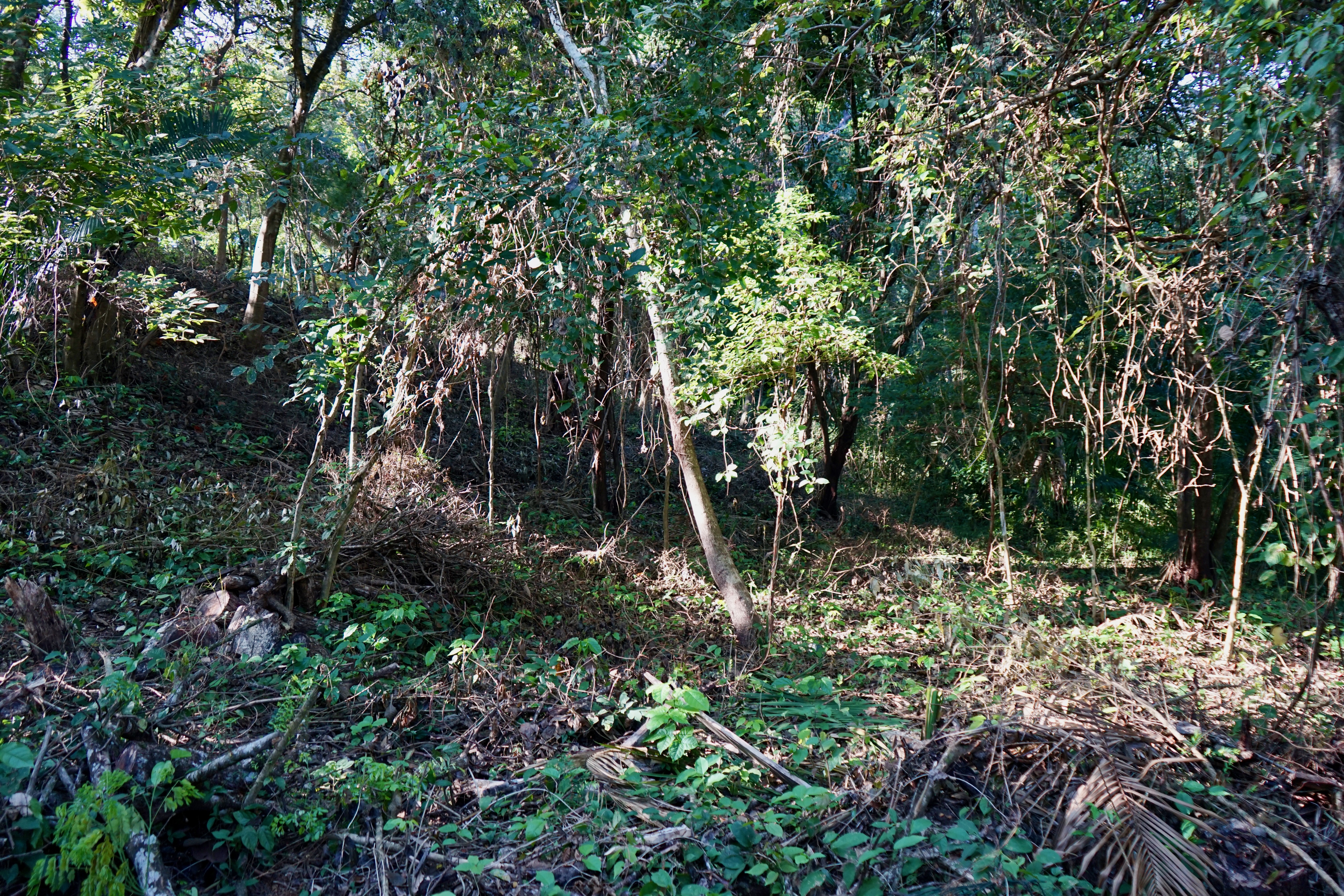 0 bed Land For Sale in Playa Pelada, Guanacaste - thumb 15