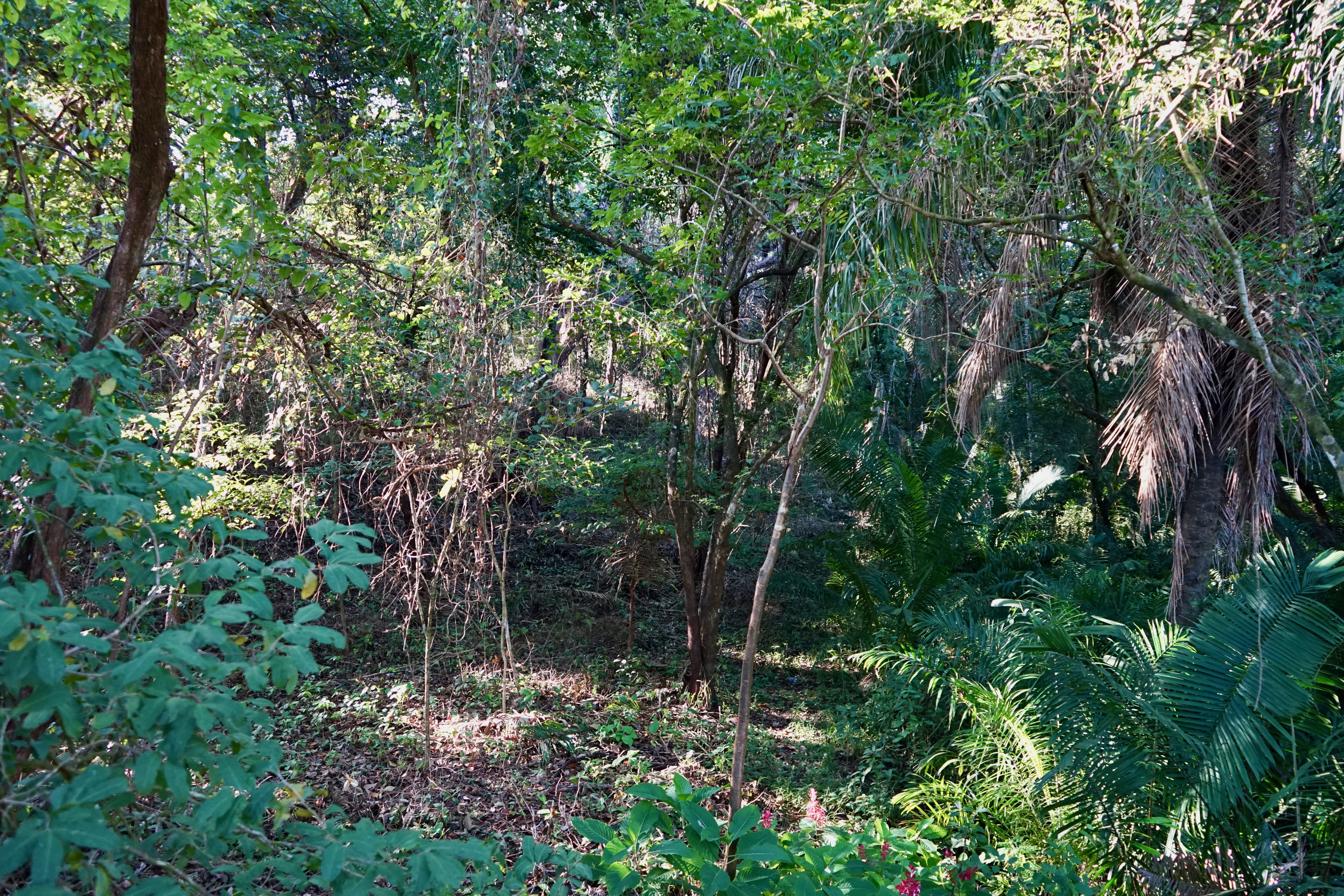 0 bed Land For Sale in Playa Pelada, Guanacaste - thumb 4