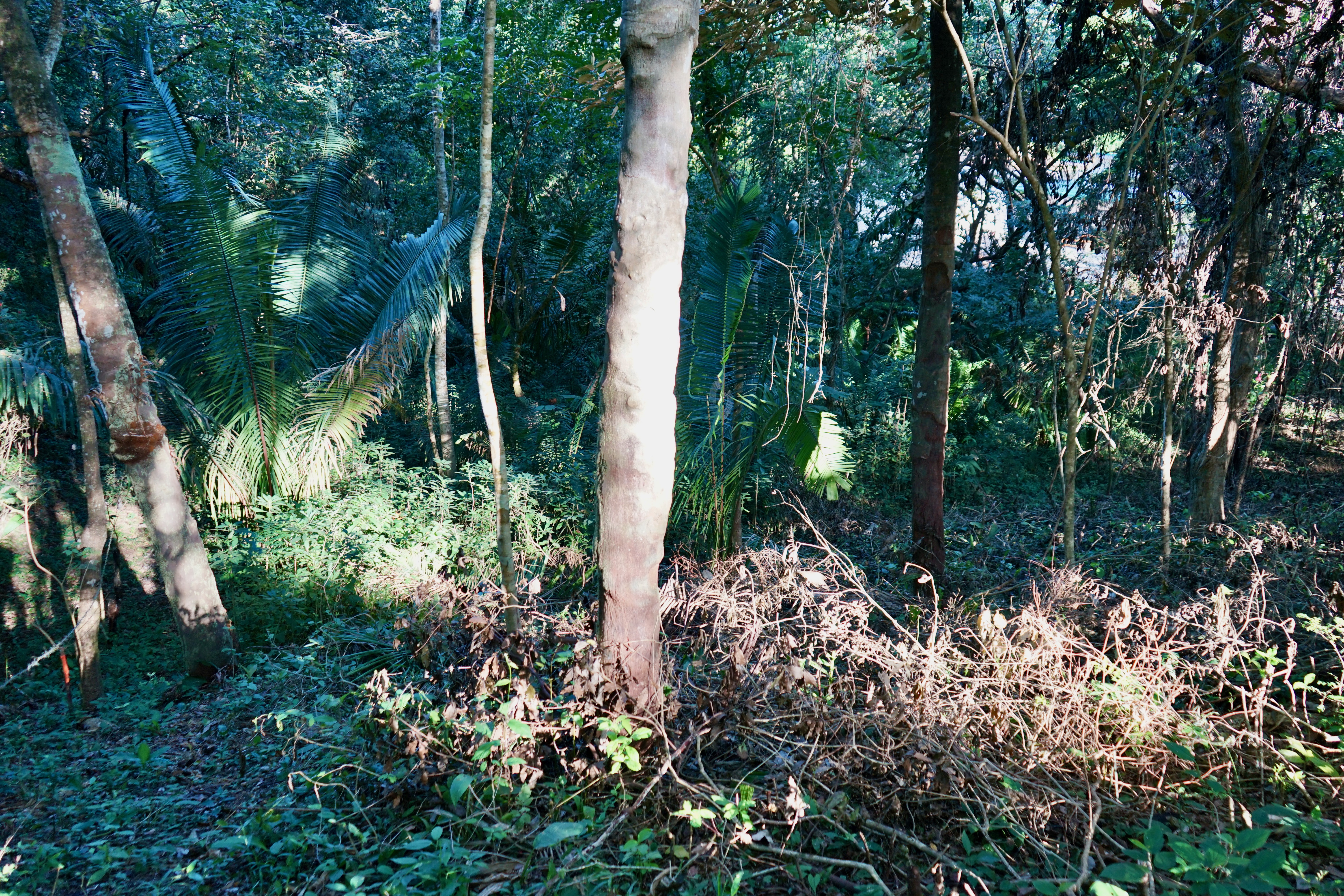 0 bed Land For Sale in Playa Pelada, Guanacaste - thumb 8