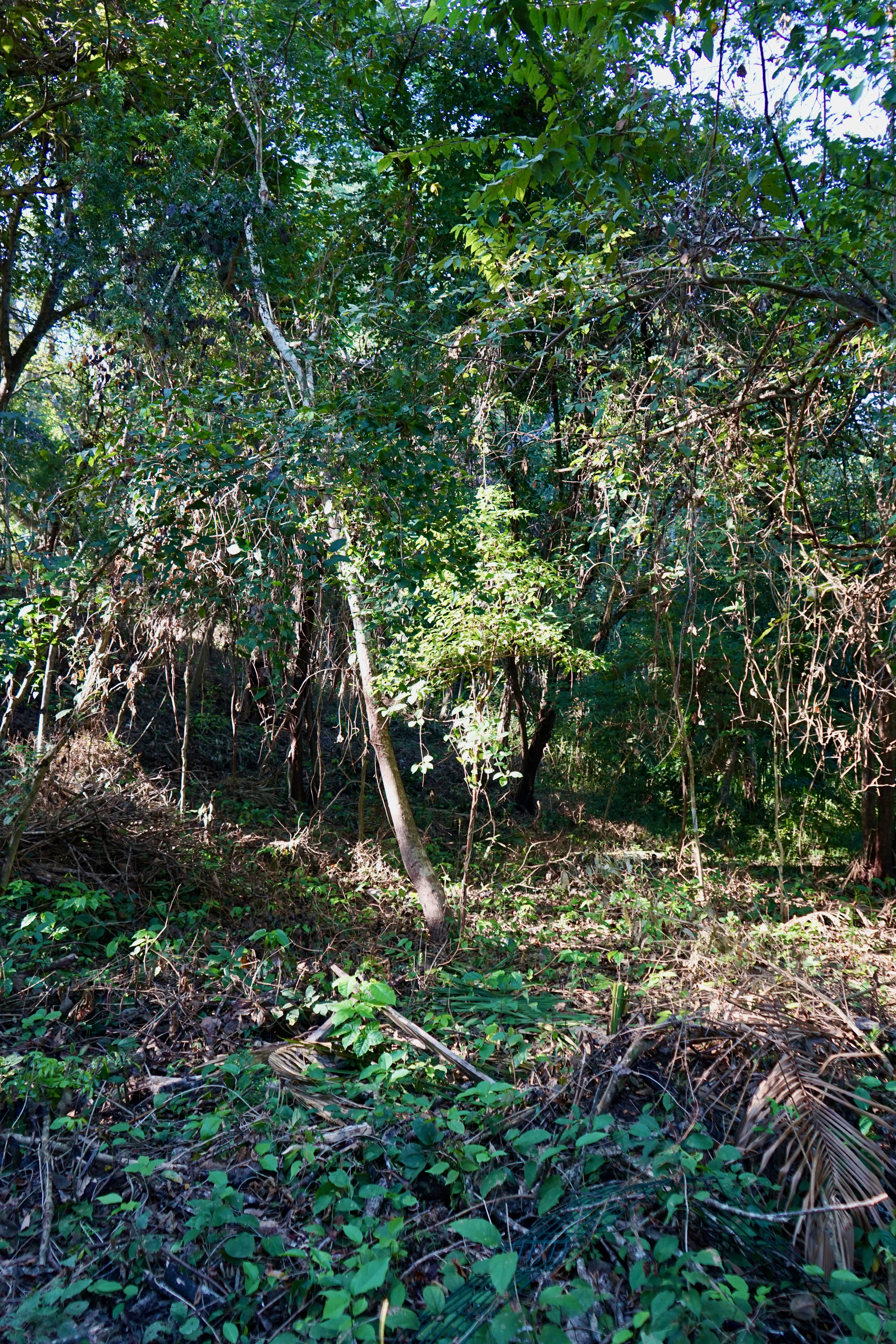 0 bed Land For Sale in Playa Pelada, Guanacaste - thumb 16