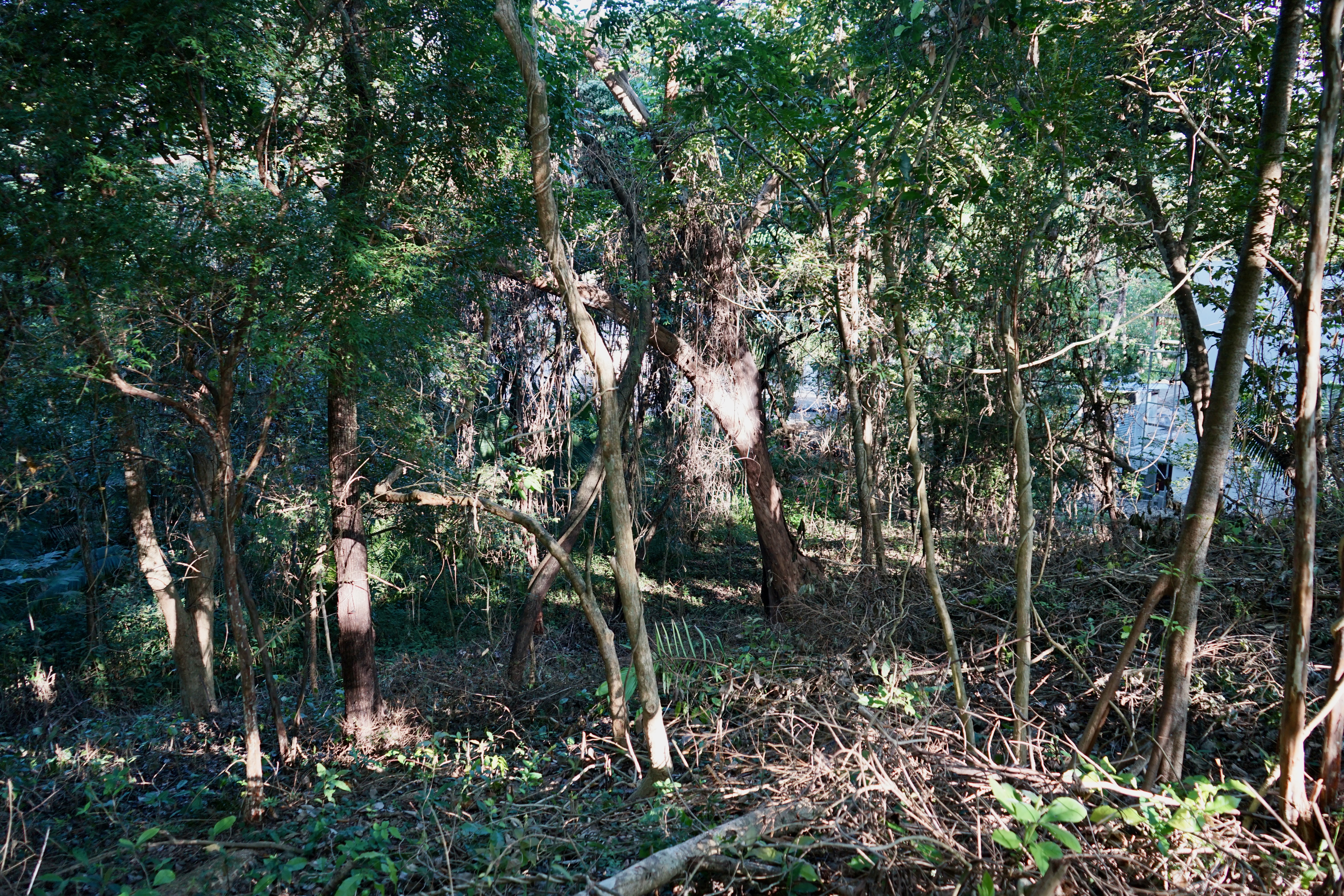 0 bed Land For Sale in Playa Pelada, Guanacaste - thumb 10