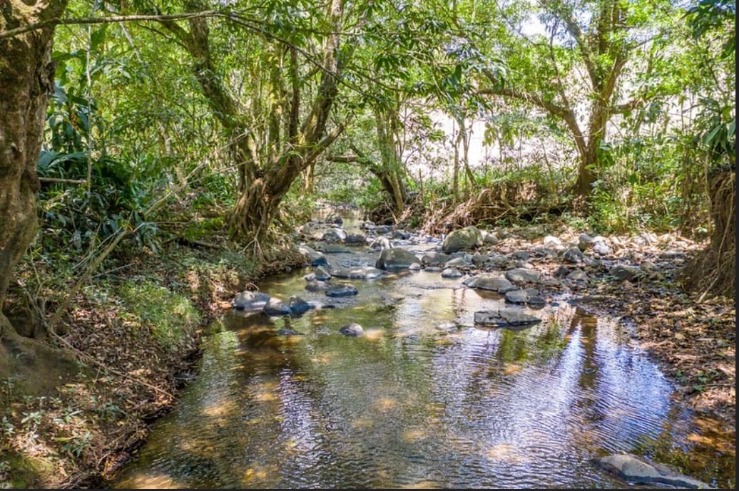 4 bed Single Family Homes For Sale in Puriscal, San Jose - thumb 4