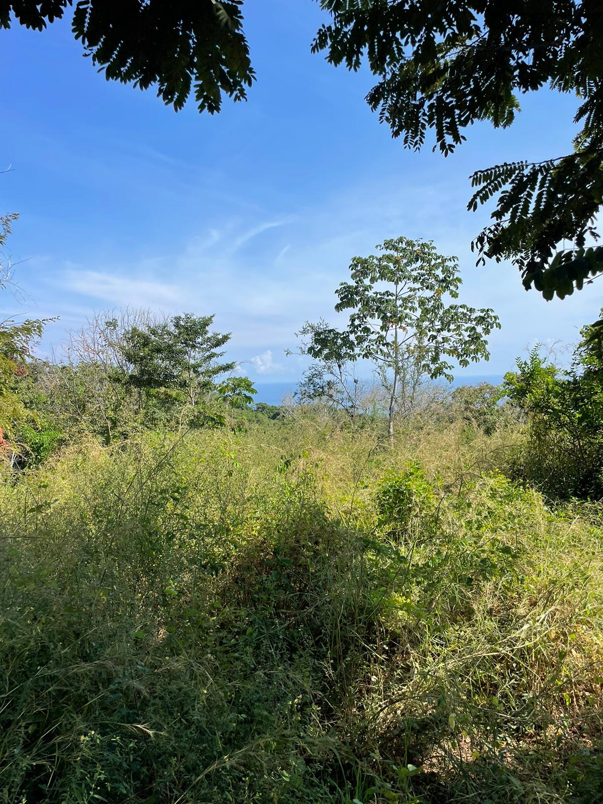 0 bed Land For Sale in Delicias, Puntarenas - thumb 2