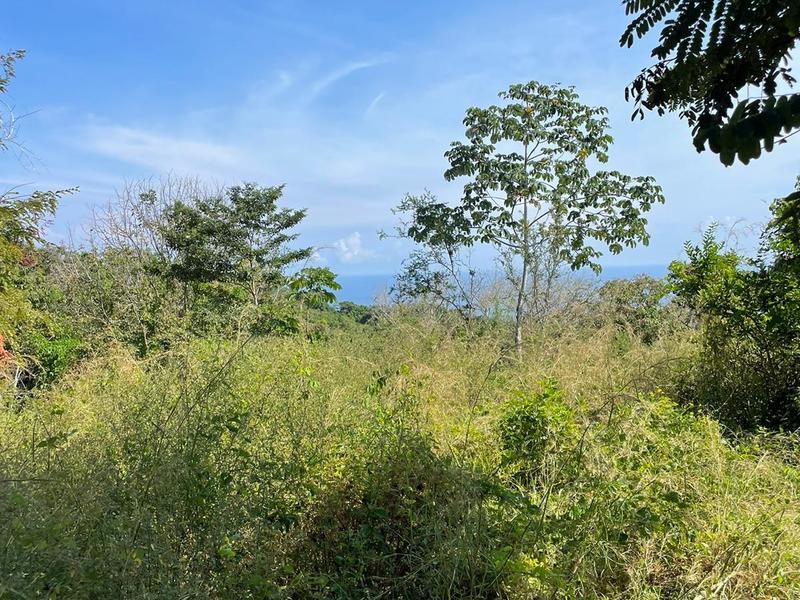 0 bed Land For Sale in Delicias, Puntarenas - thumb 2