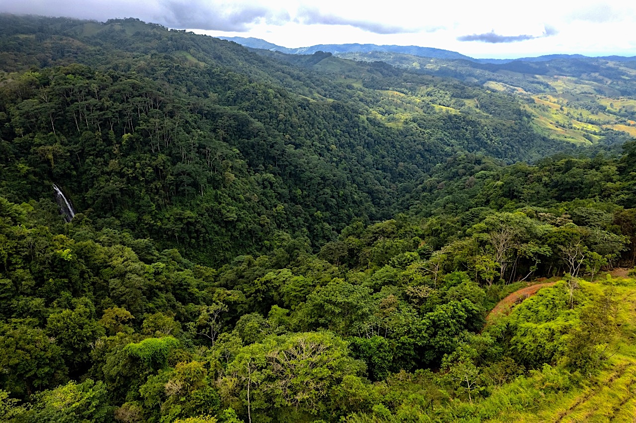 3 bed Single Family Homes For Sale in Dominical, Puntarenas - thumb 9