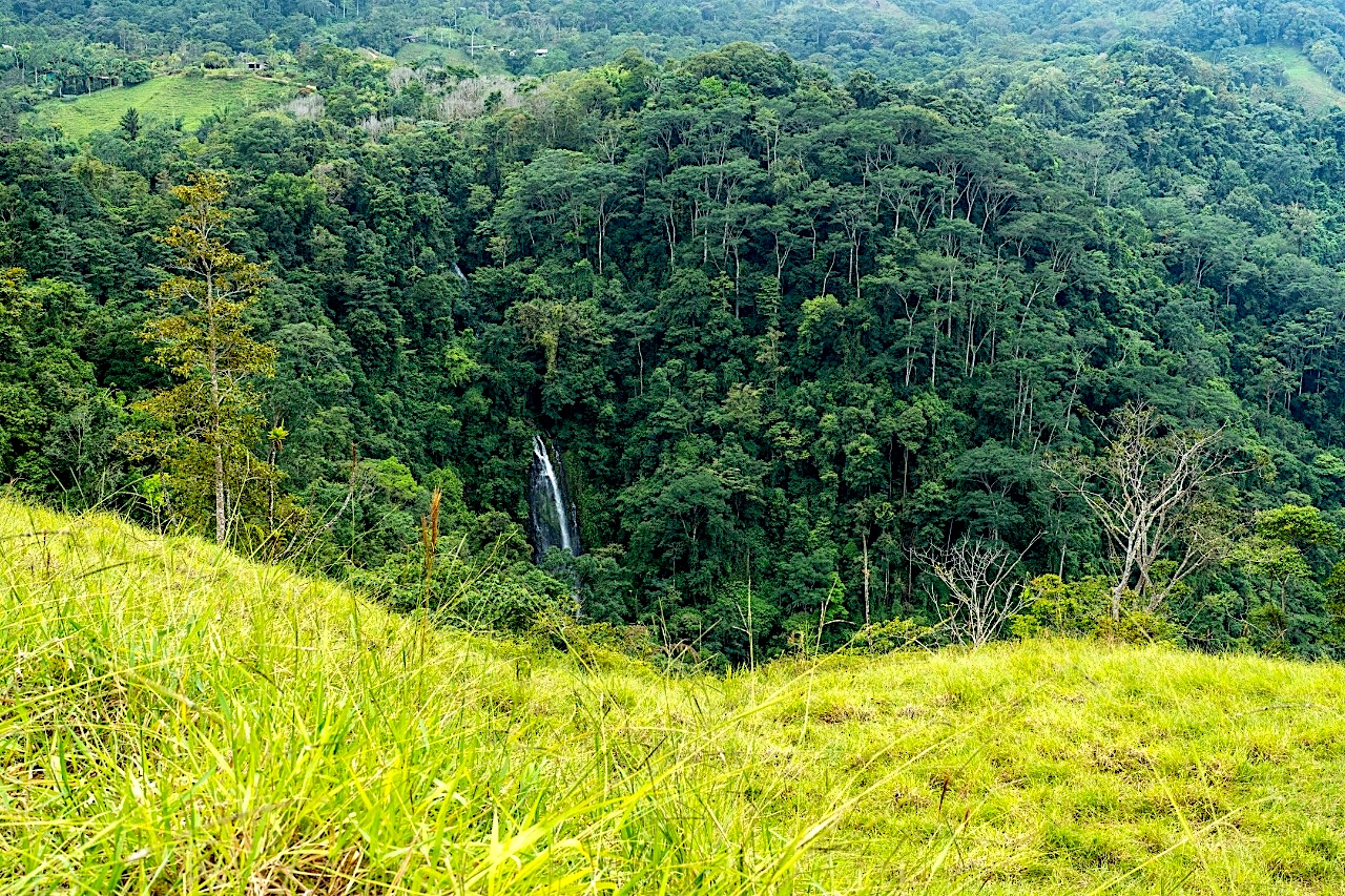 3 bed Single Family Homes For Sale in Dominical, Puntarenas - thumb 4