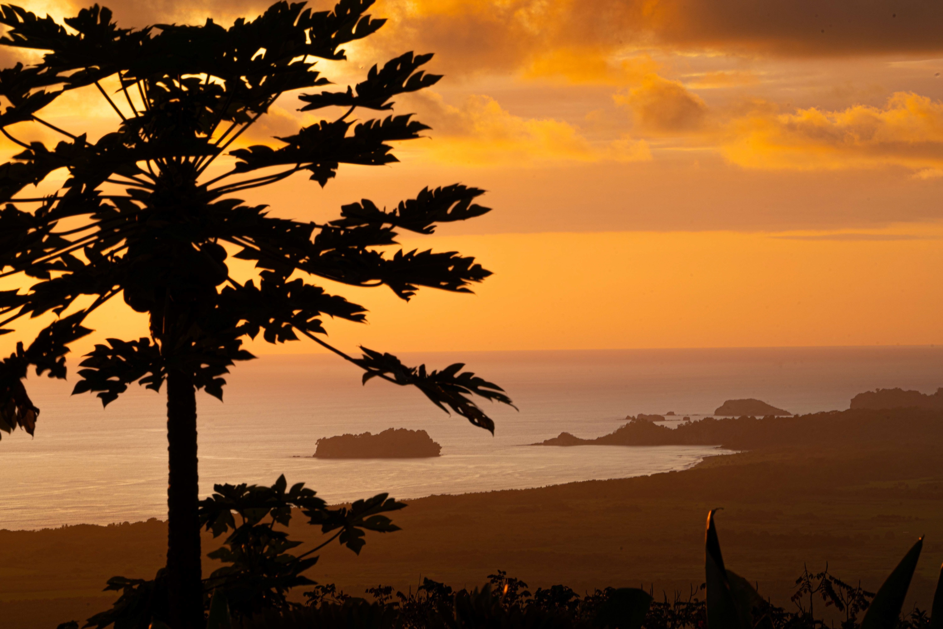 3 bed Single Family Homes For Sale in Quepos, Puntarenas - thumb 3