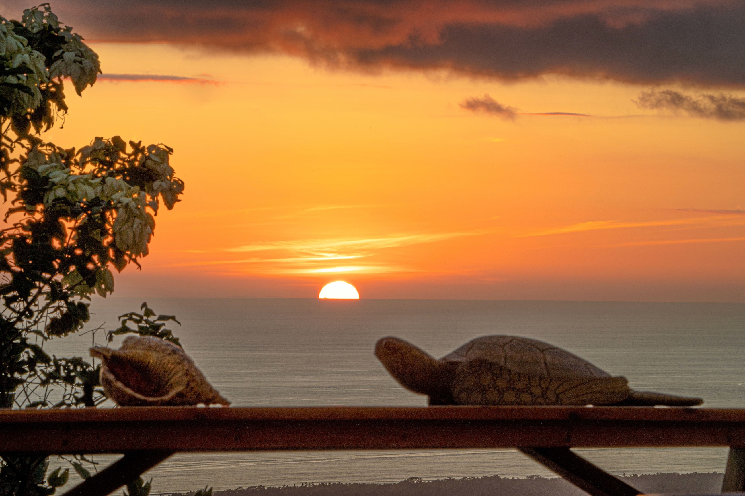 3 bed Single Family Homes For Sale in Quepos, Puntarenas - thumb 6