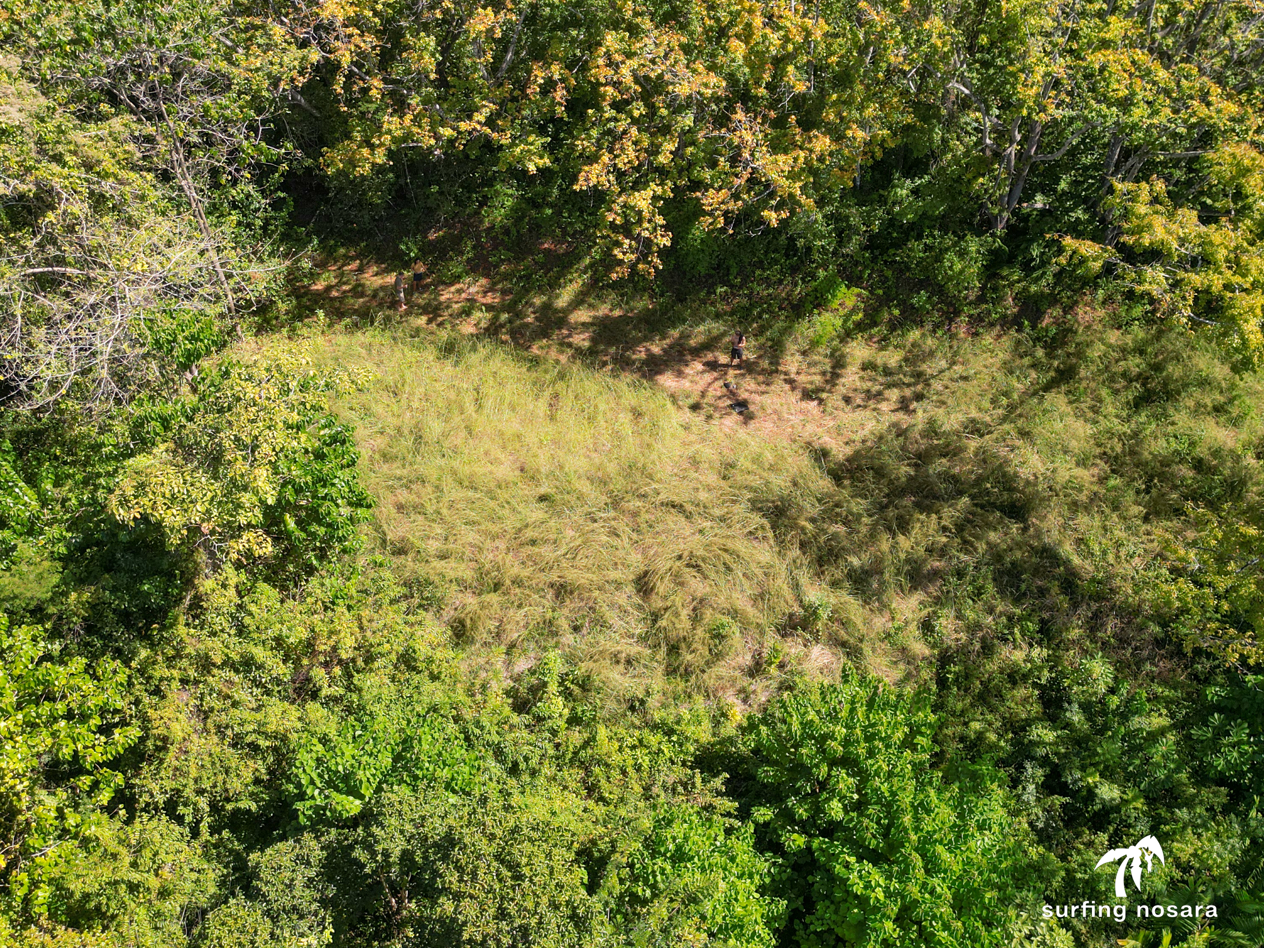 0 bed Land For Sale in Nosara, Guanacaste - thumb 6