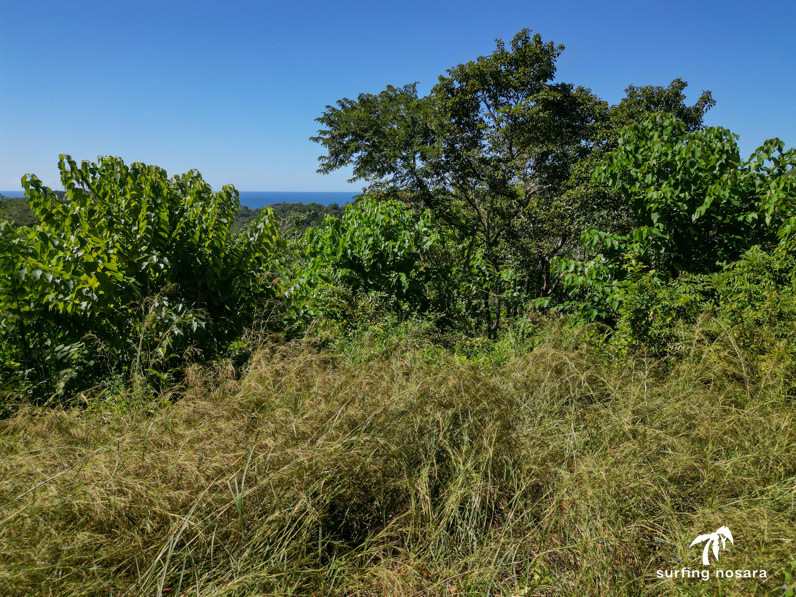 0 bed Land For Sale in Nosara, Guanacaste - thumb 7