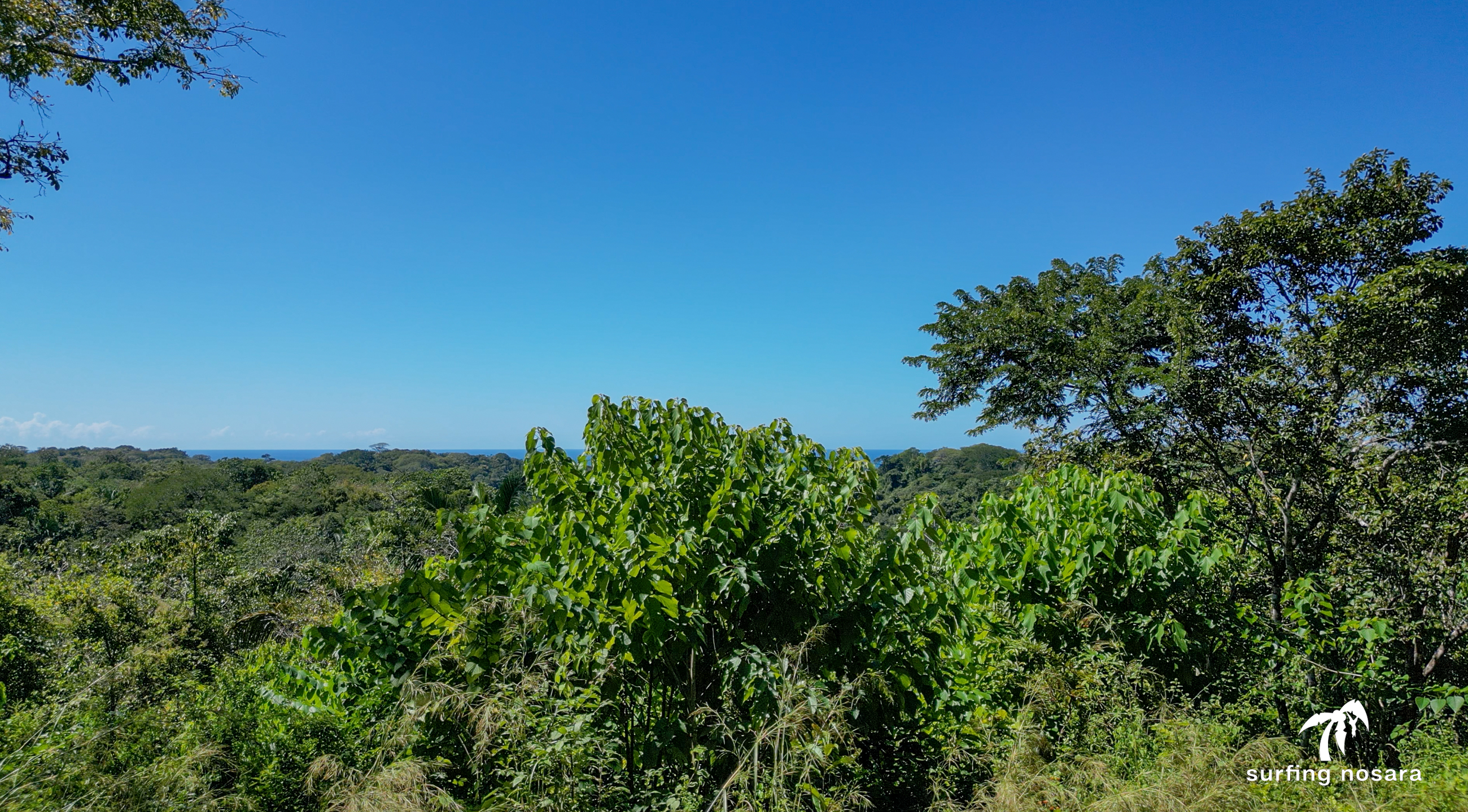 0 bed Land For Sale in Nosara, Guanacaste - thumb 4