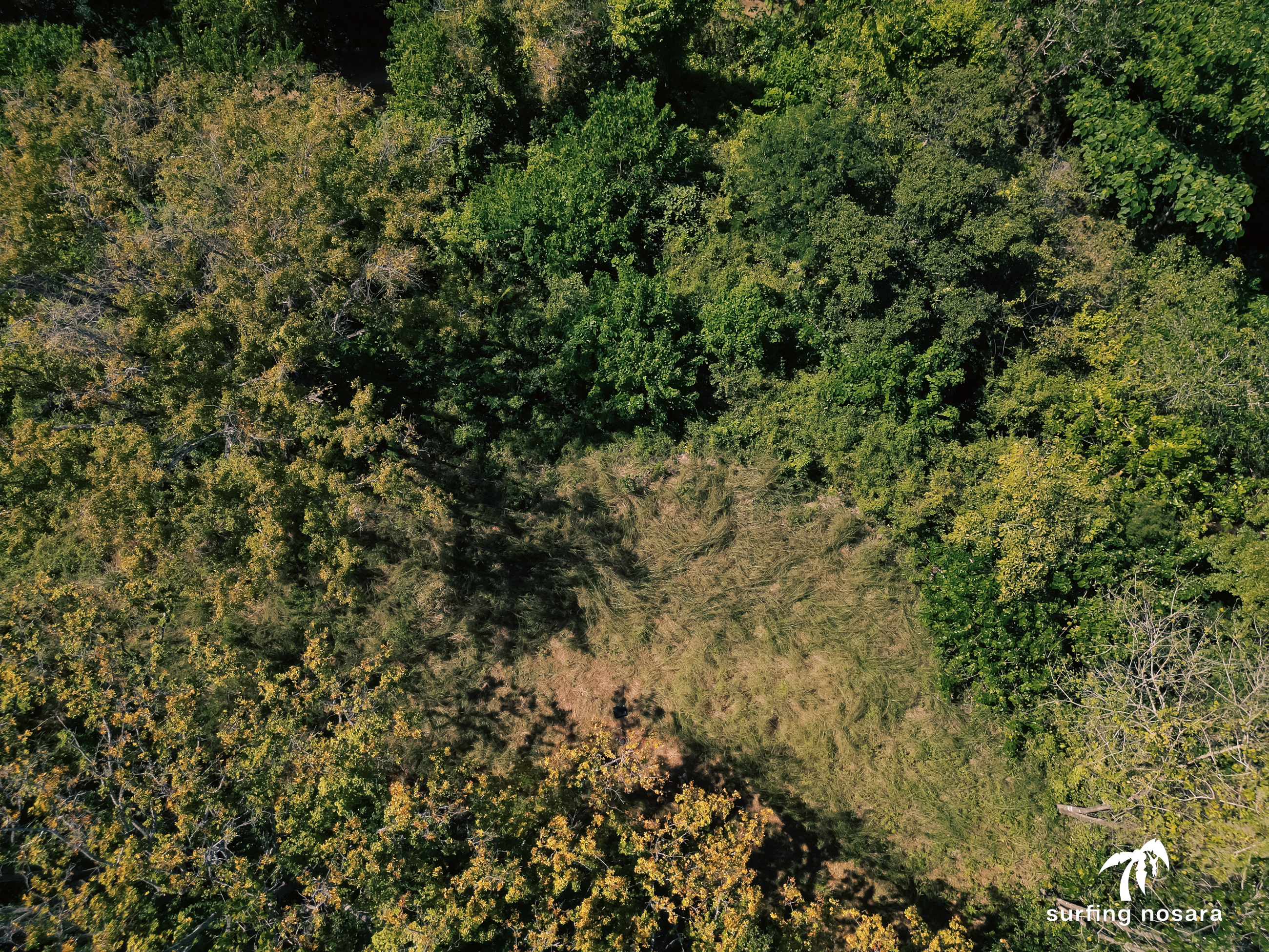 0 bed Land For Sale in Nosara, Guanacaste - thumb 8