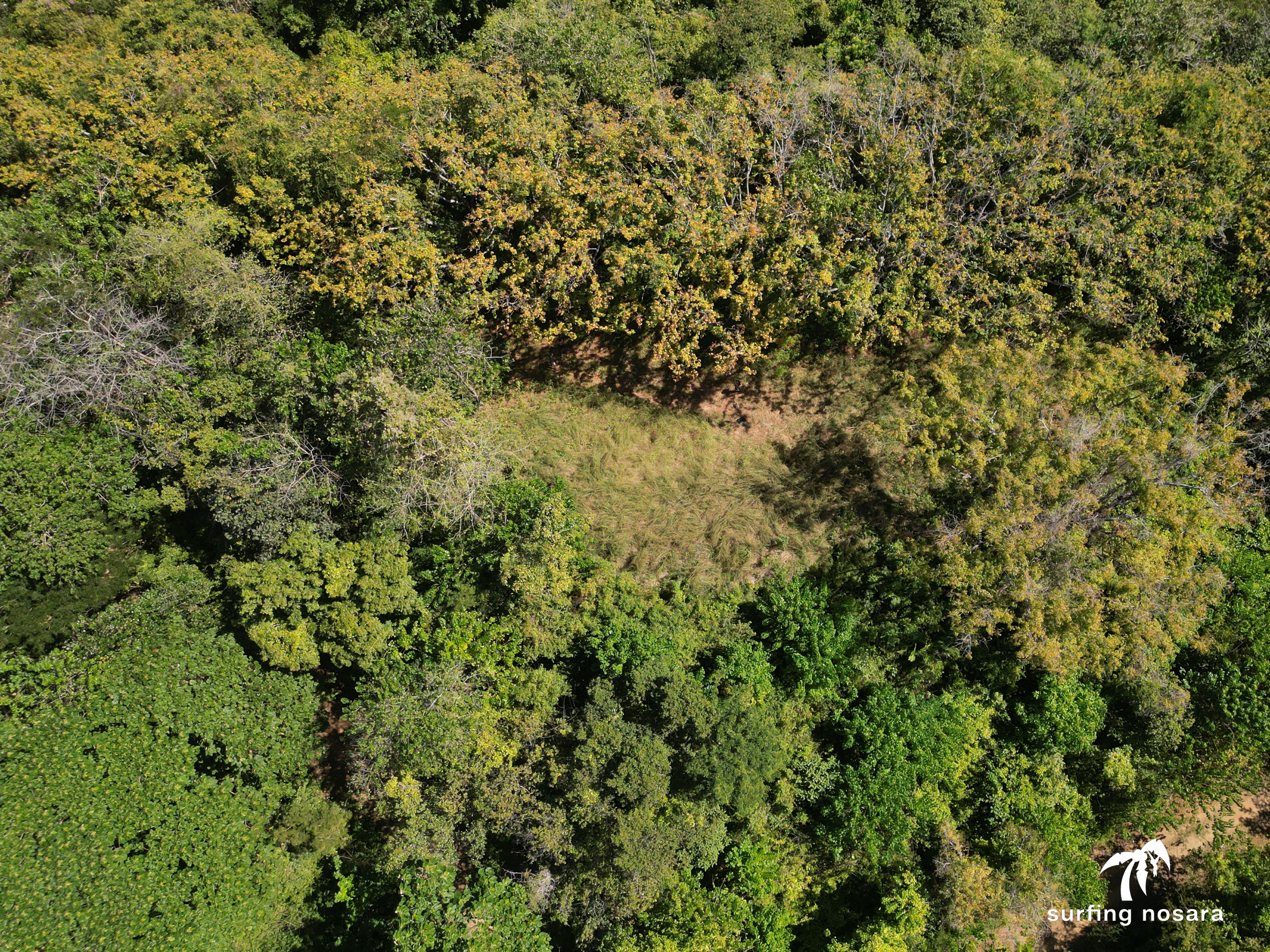 0 bed Land For Sale in Nosara, Guanacaste - thumb 5