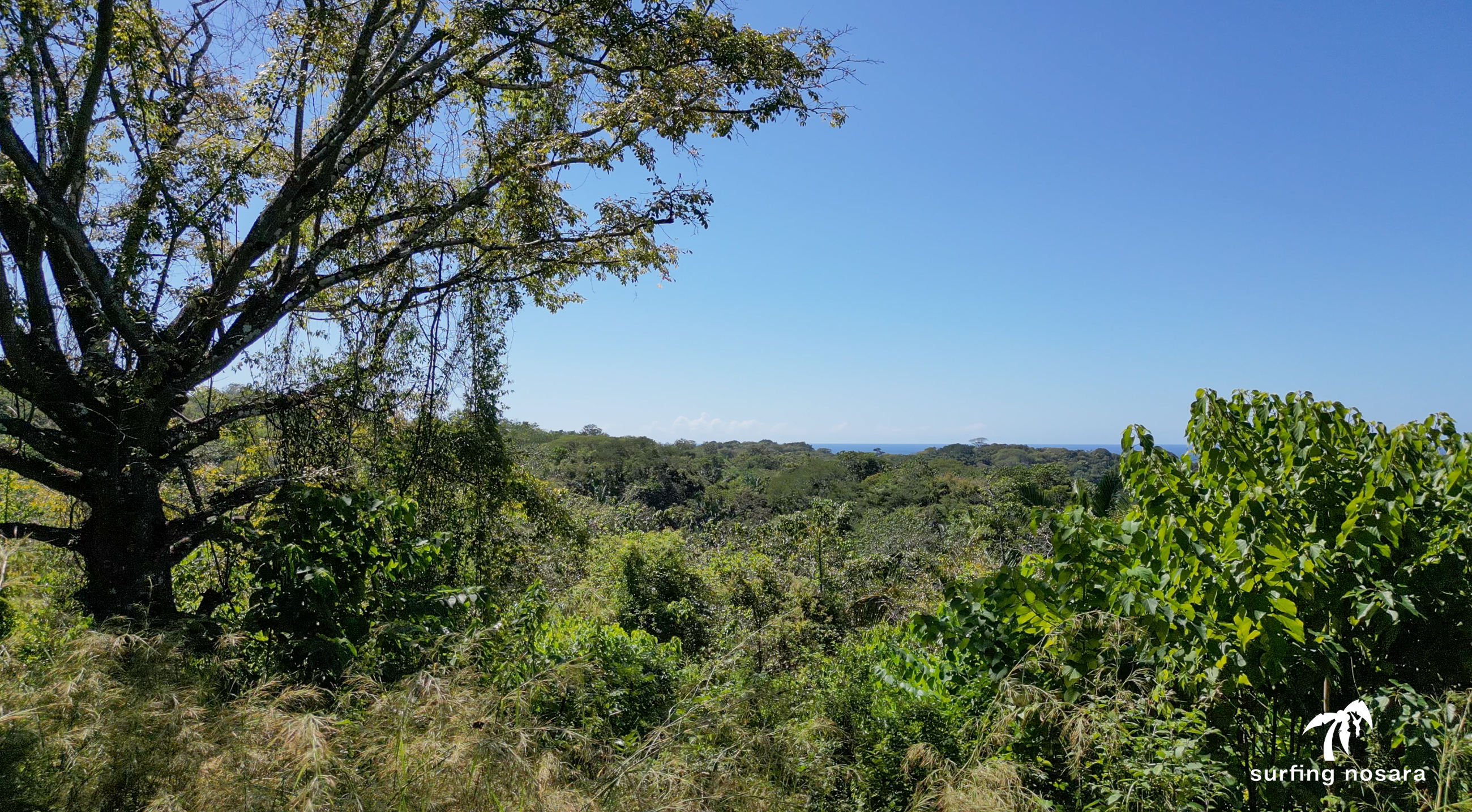 0 bed Land For Sale in Nosara, Guanacaste - thumb 3