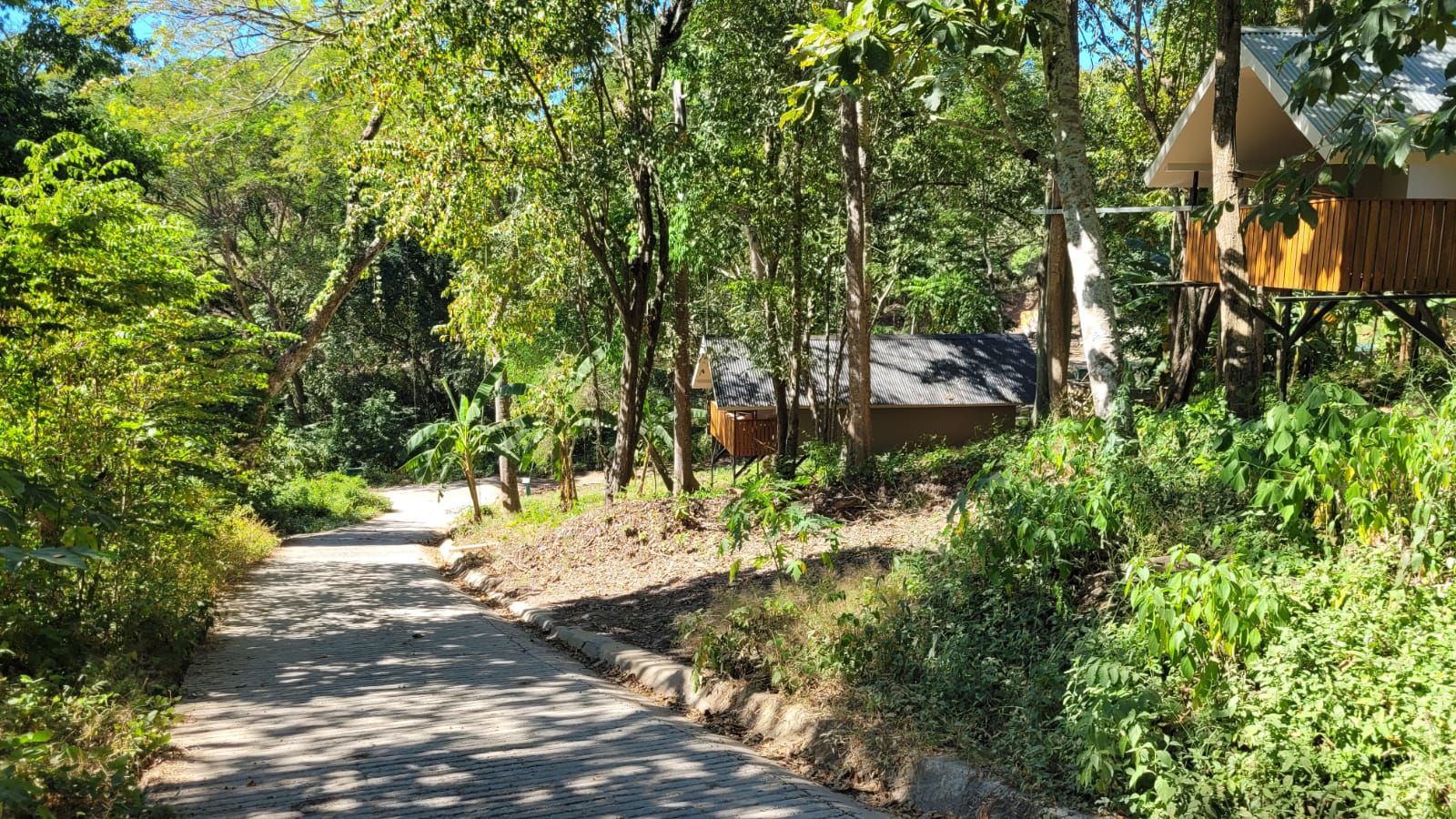 0 bed Land For Sale in Paquera, Puntarenas - thumb 9