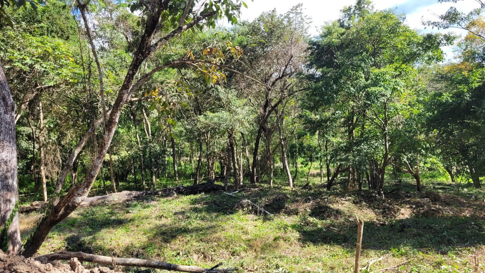 0 bed Land For Sale in Paquera, Puntarenas - thumb 6