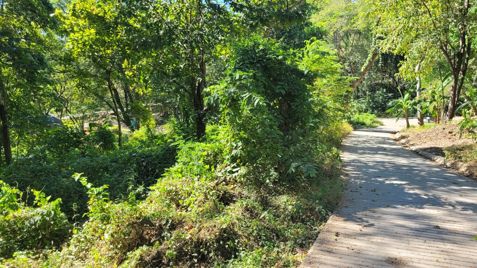 0 bed Land For Sale in Paquera, Puntarenas - thumb 8