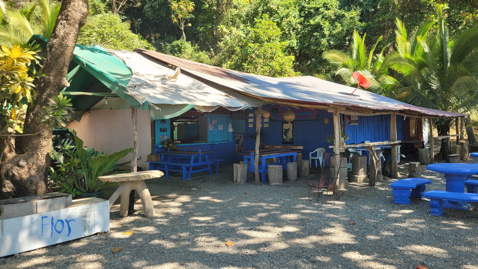 0 bed Land For Sale in Paquera, Puntarenas - thumb 17