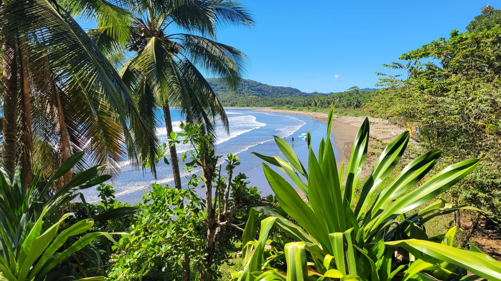 0 bed Land For Sale in Paquera, Puntarenas - thumb 11