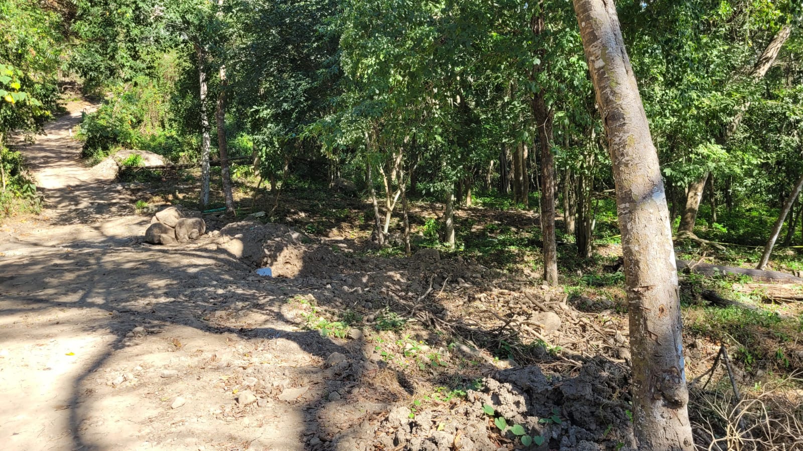 0 bed Land For Sale in Paquera, Puntarenas - thumb 3