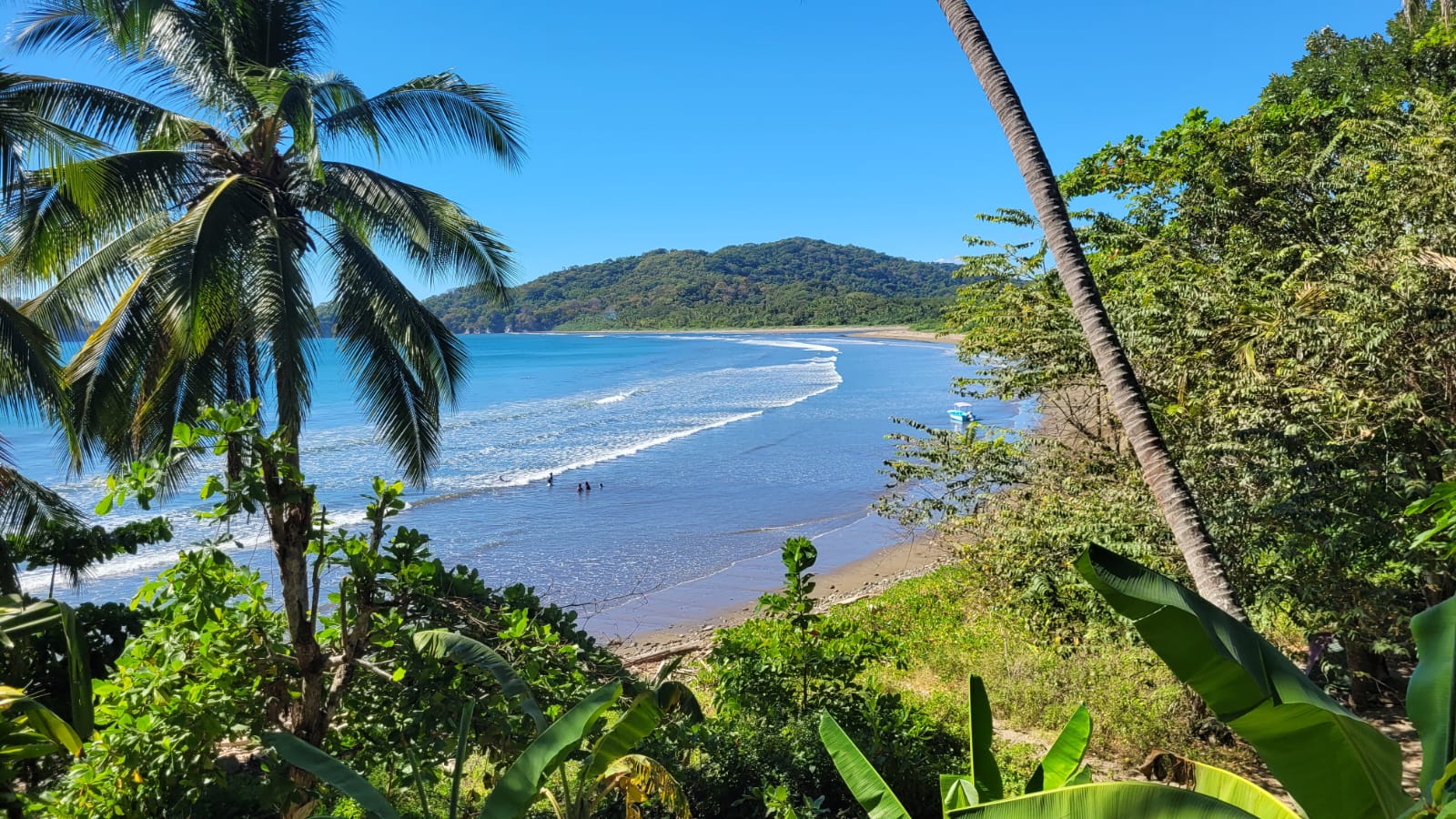 0 bed Land For Sale in Paquera, Puntarenas - thumb 10