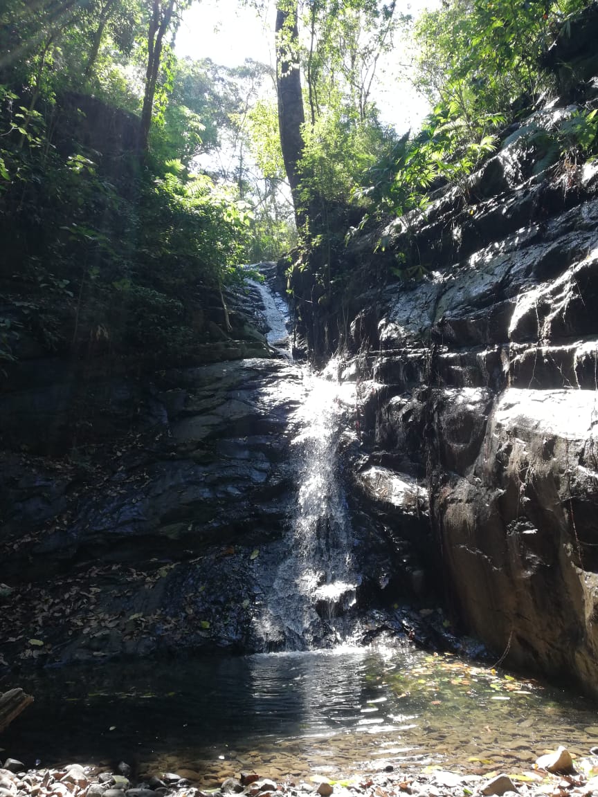 2 bed Land For Sale in Paquera, Puntarenas - thumb 4