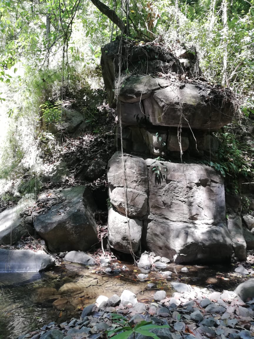 2 bed Land For Sale in Paquera, Puntarenas - thumb 8