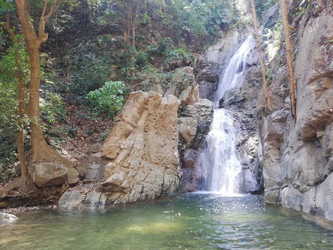 2 bed Land For Sale in Paquera, Puntarenas - thumb 5