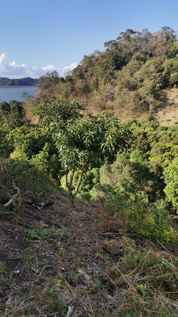 0 bed Land For Sale in Paquera, Puntarenas - thumb 10