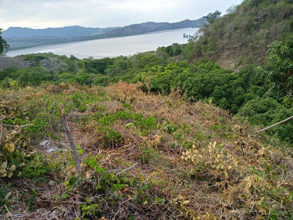 0 bed Land For Sale in Paquera, Puntarenas - thumb 2